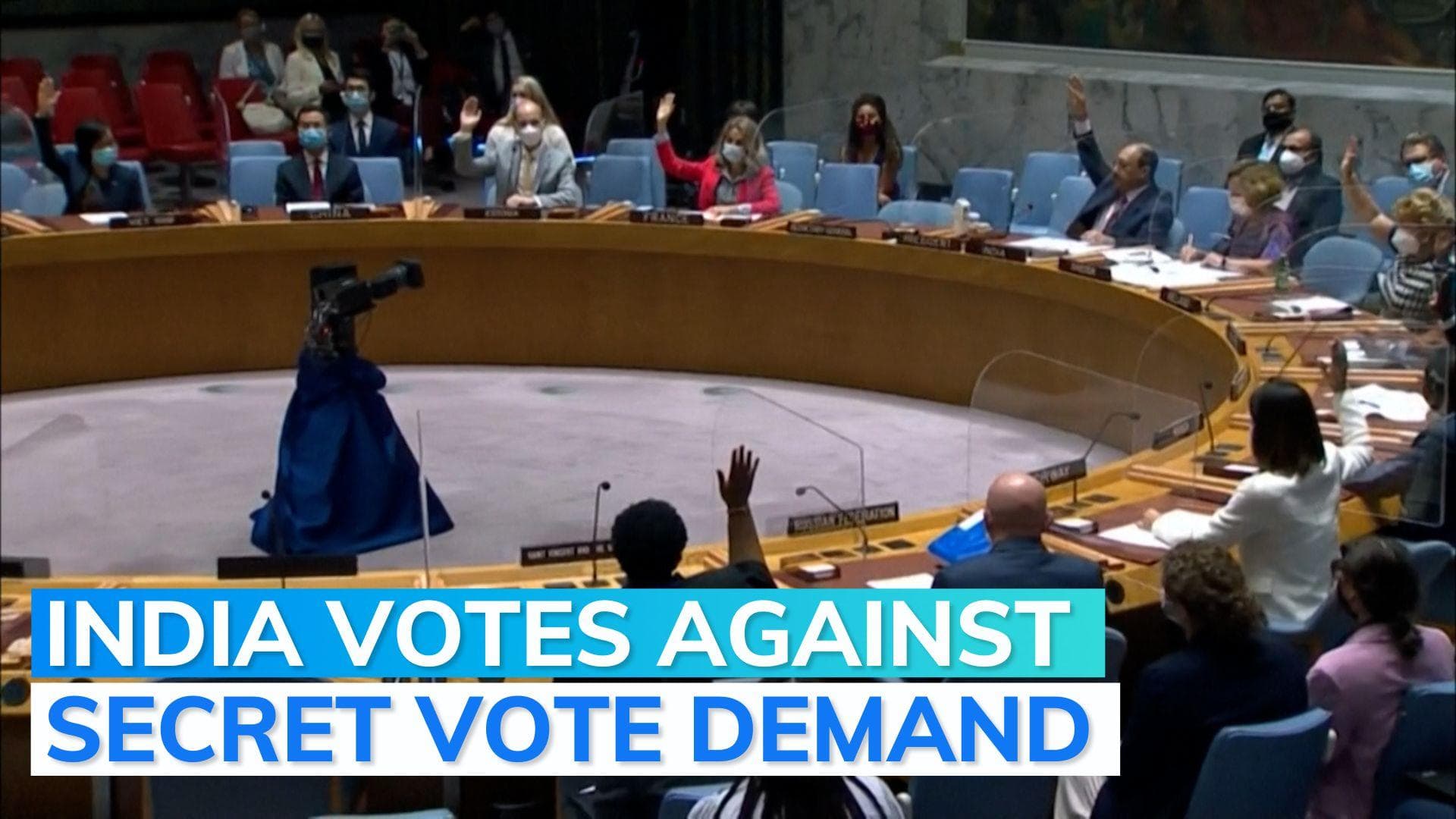 Annexation of Ukraine areas: India votes against Russia in UN