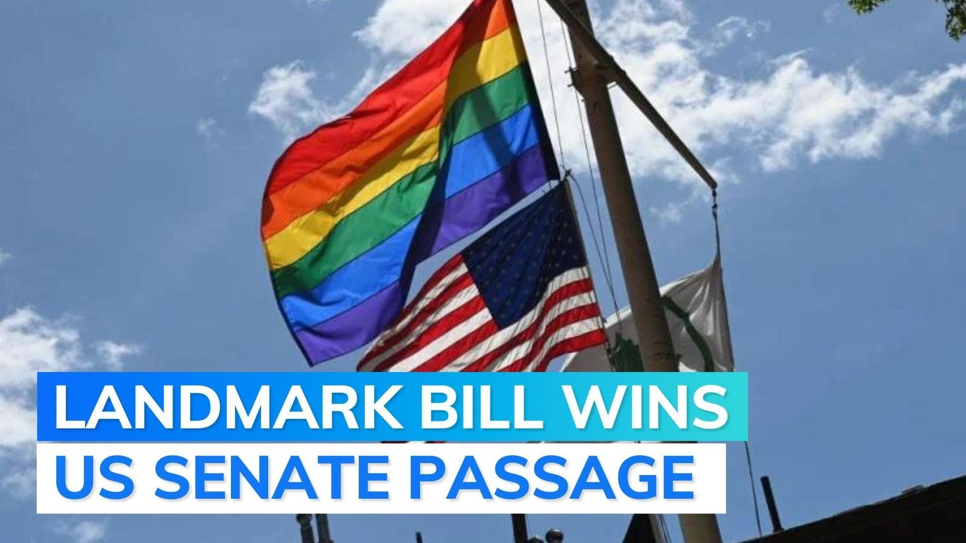 Love is Love: US senate votes, passes bill to protect same-sex marriage