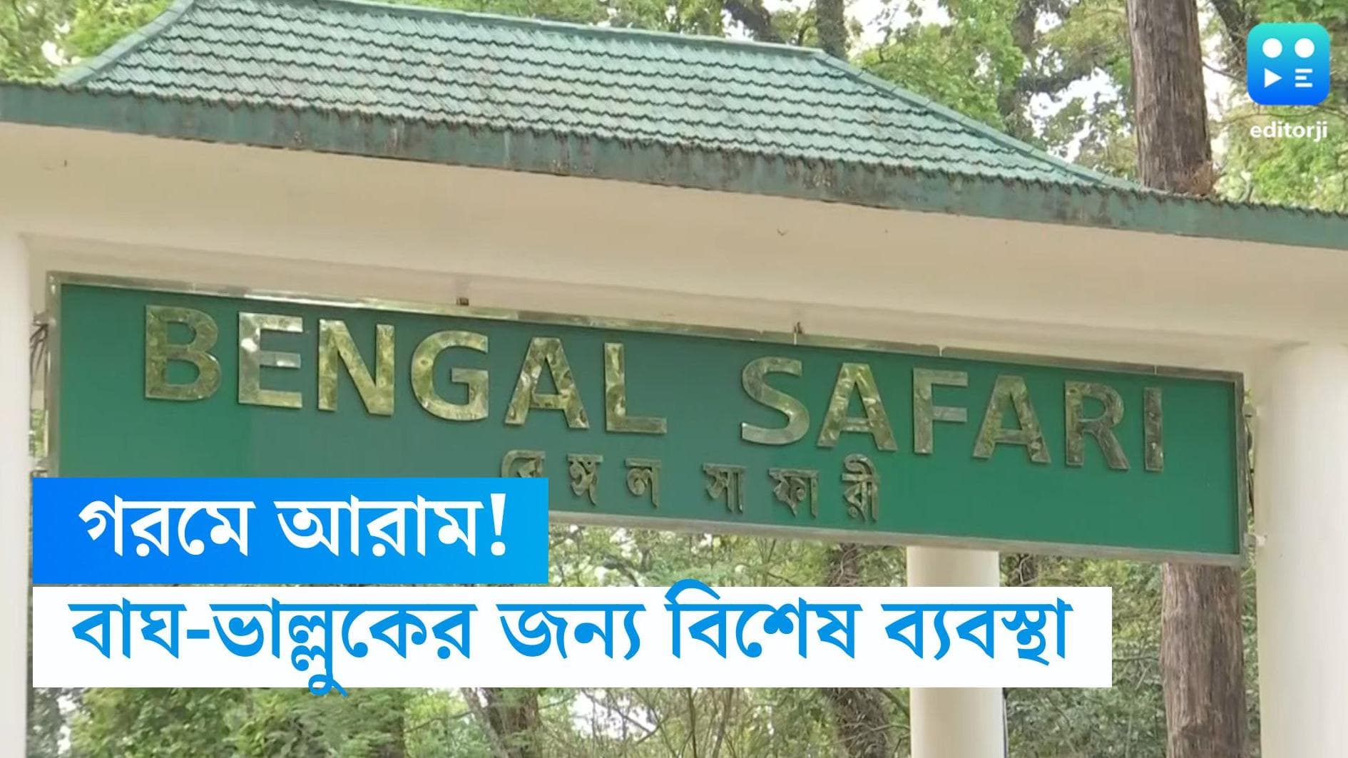 Siliguri Safari Park: কারোর জন্য আইস কিউব, কেউ পাচ্ছে ওআরএস! শিলিগুড়িতে  বাঘ-ভাল্লুকের জন্য বিশেষ আয়জন