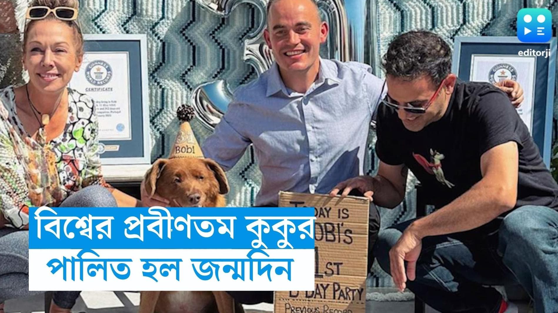 World's oldest dog : অতিথি ১০০-র বেশি, জমজমাট জন্মদিন, ৩১ বছরে বিশ্বের প্রবীণতম কুকুর ববি