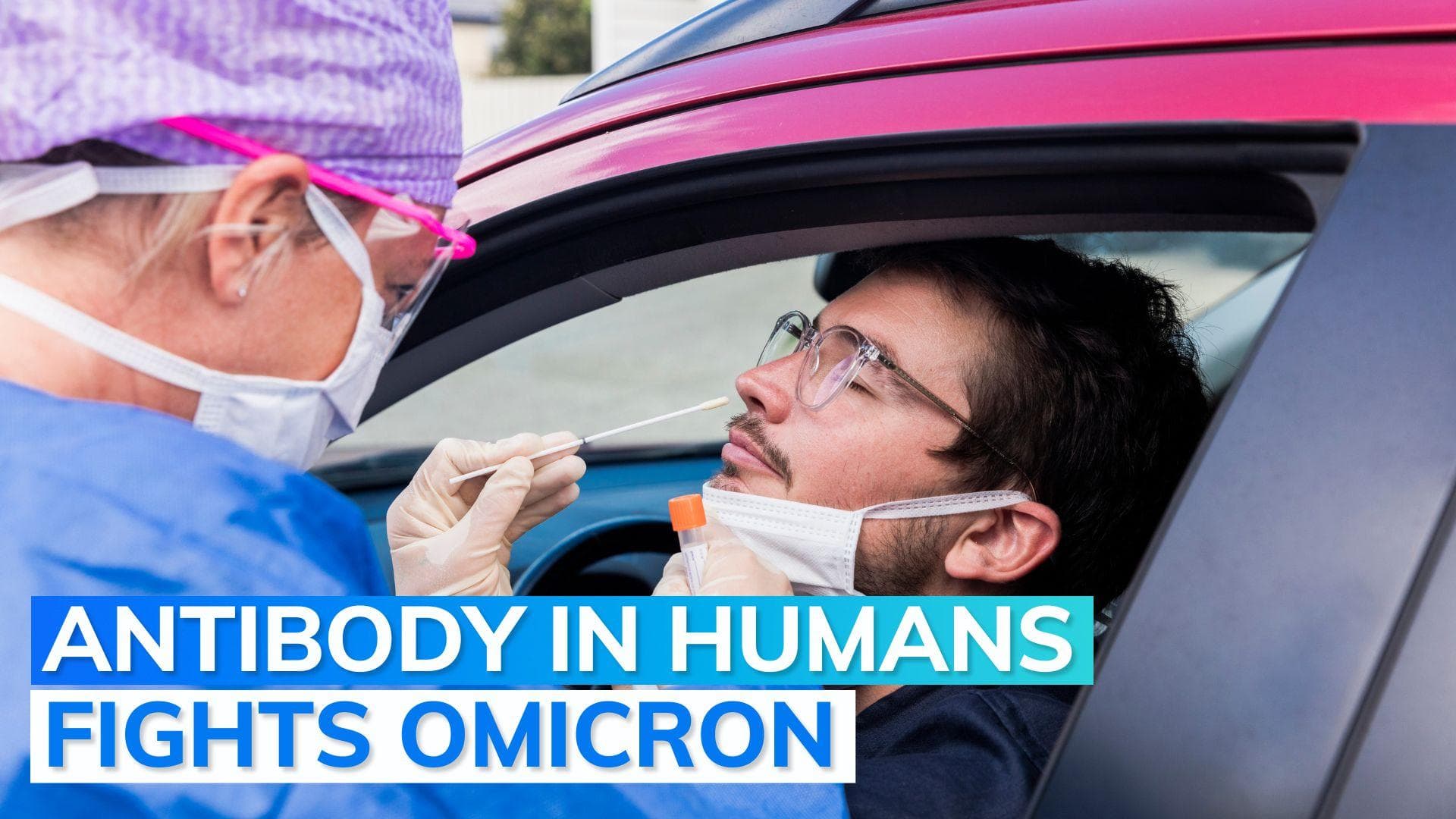 Antibody which neutralises Omicron variants found: Study