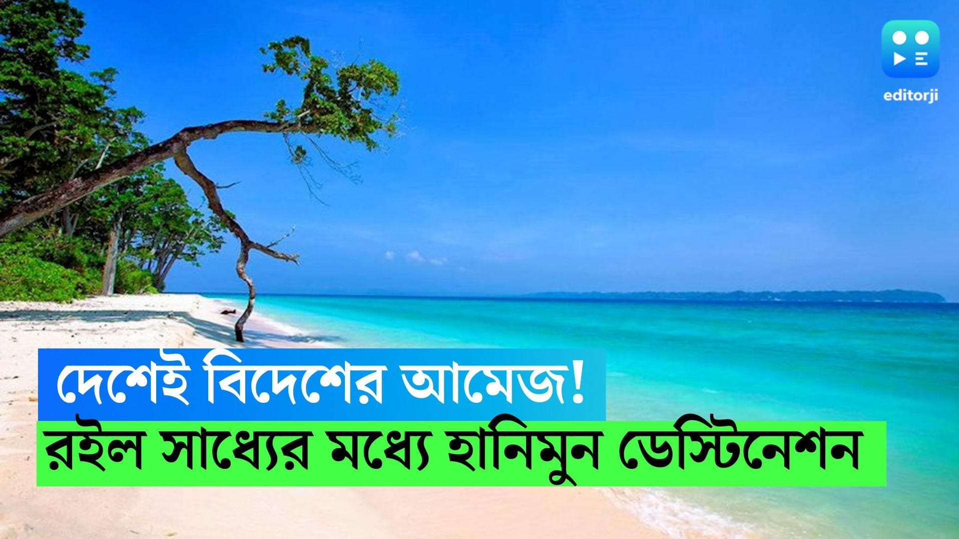 Honeymoon Destination: কমখরচে দেশেই নিন বিদেশের অনুভূতি, রইল ভারতের দুর্দান্ত কয়েকটি হানিমুন ডেস্টিনেশন 