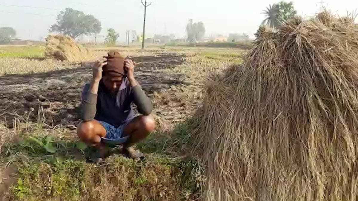 Jawad may Effect on Crops : ঘূর্ণিঝড় জাওয়াদের চোখরাঙানি, ফসল নষ্টের আশঙ্কায় মাথায় হাত বাঁকুড়ার চাষিদের