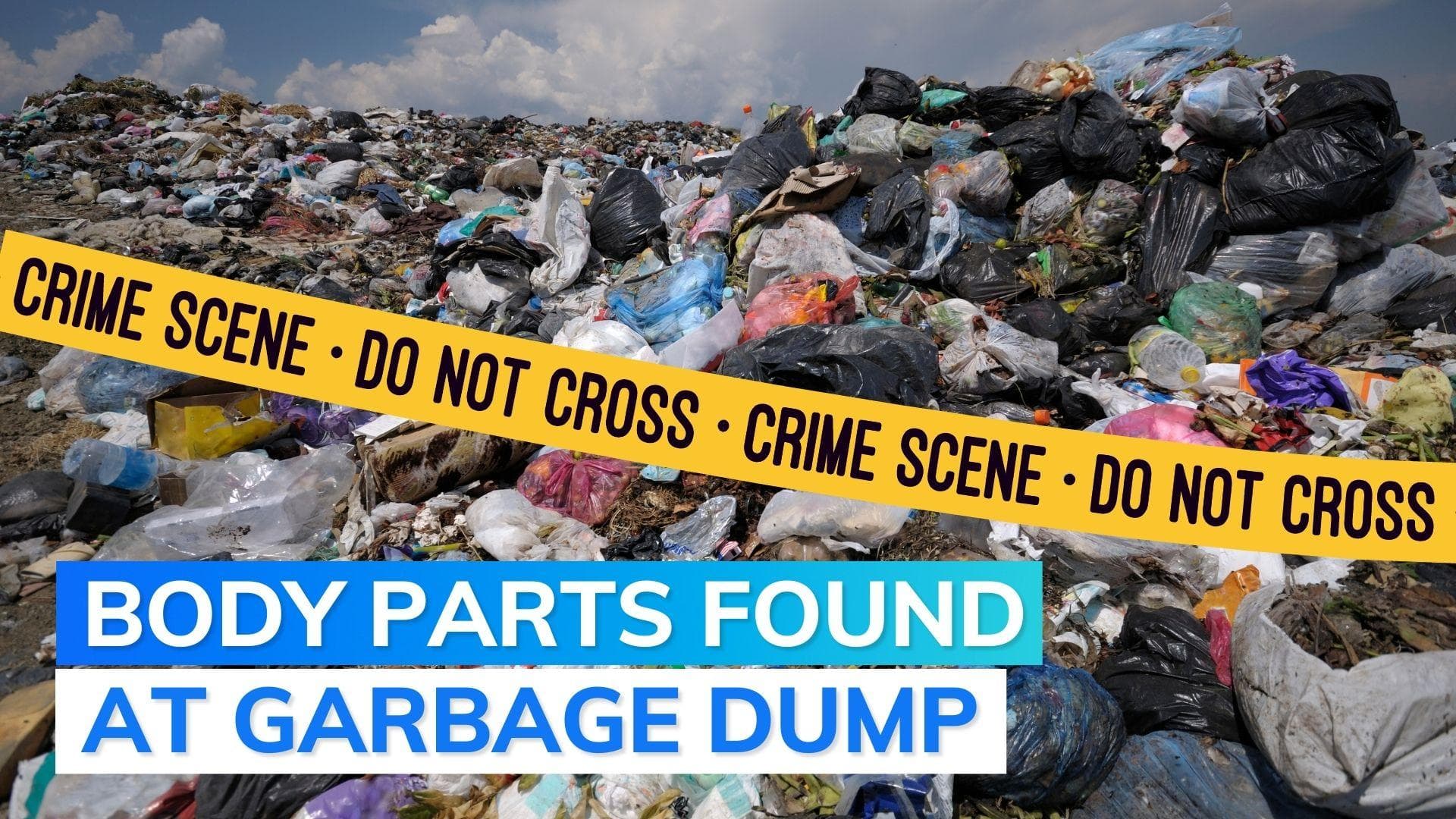 UP: man kills wife's lover, chops body in over half-dozen pieces