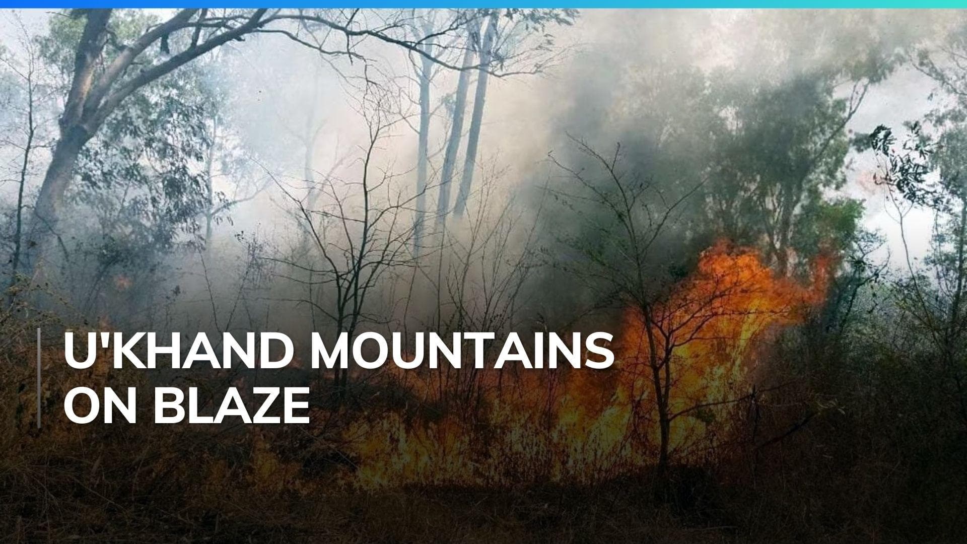 Uttarakhand under grip of forest fires, IAF roped in douse flames