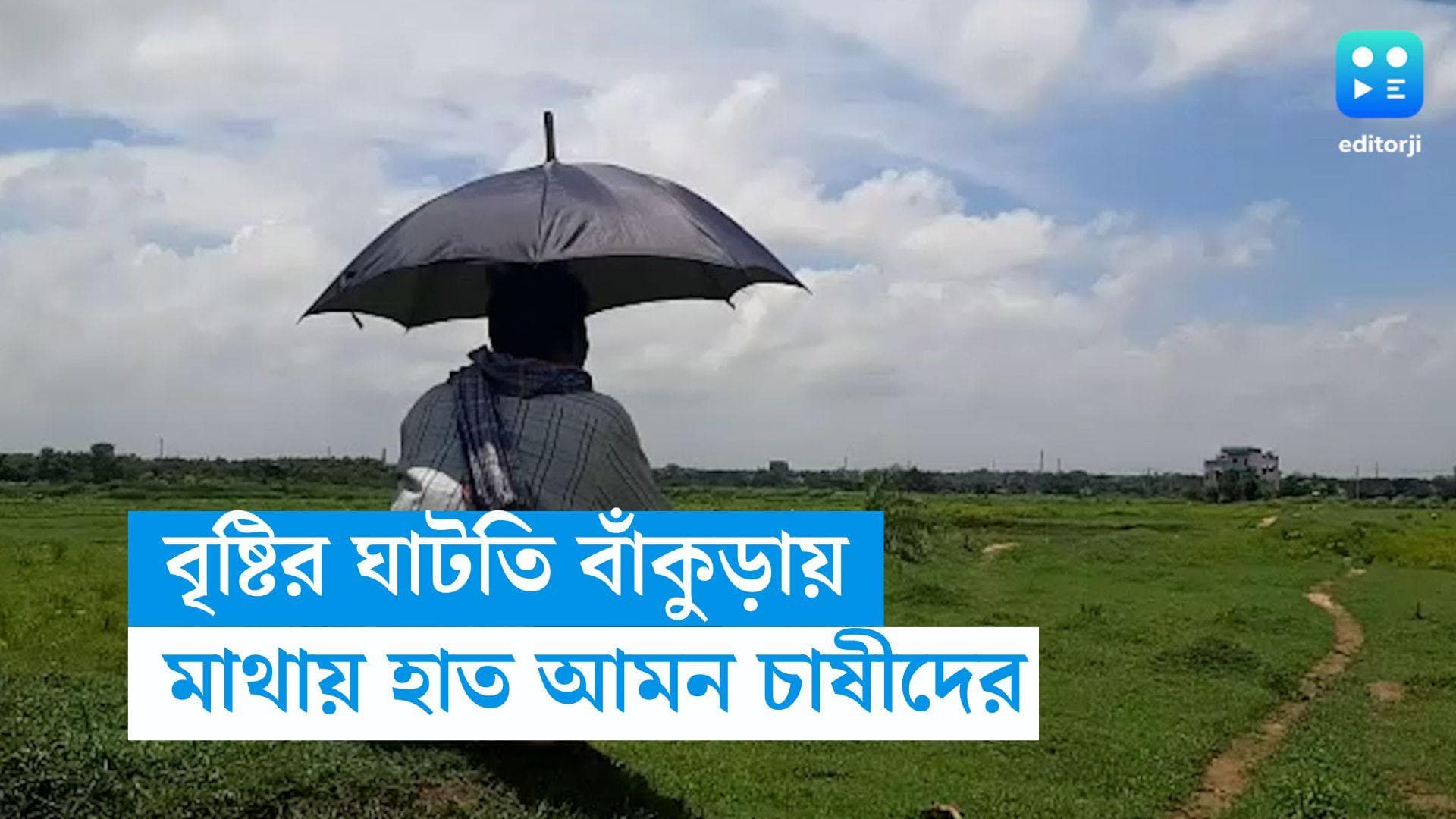 Rain:  বৃষ্টির ঘাটতি বাঁকুড়ায়, মাথায় হাত আমন চাষীদের