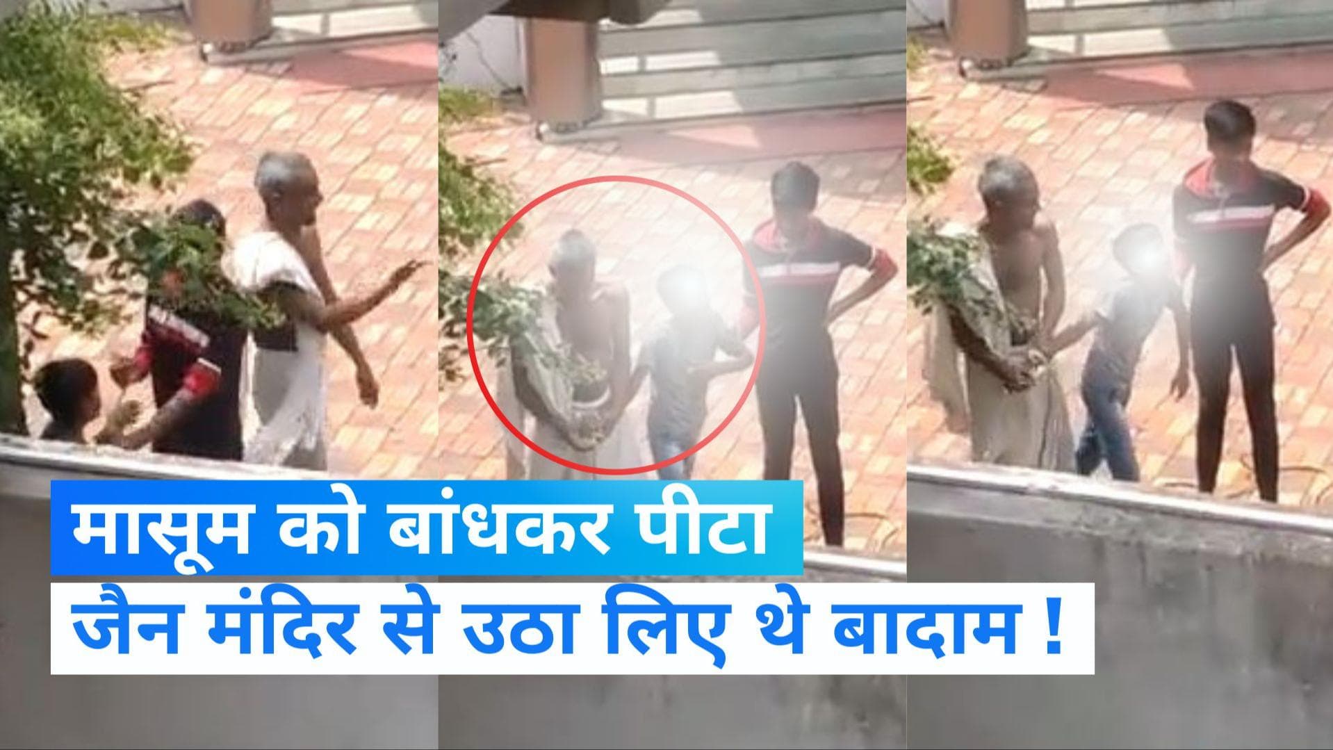MP Viral Video: मंदिर की थाली से उठाया बादाम,तो मासूम बच्चे को बांधकर पीटा