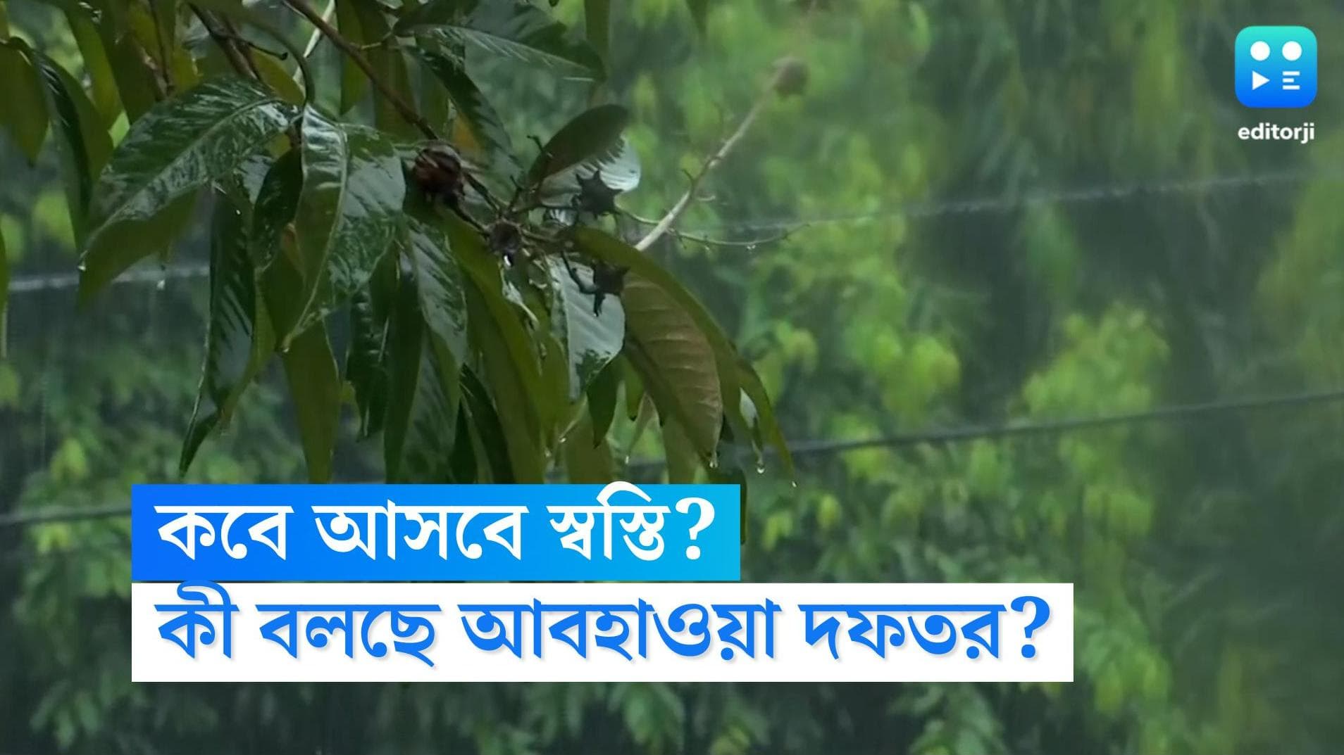 West Bengal Weather Update: আপাতত থাকবে ভ্যাপসা ভাব, ১০ তারিখের পর কমবে কলকাতার গরম