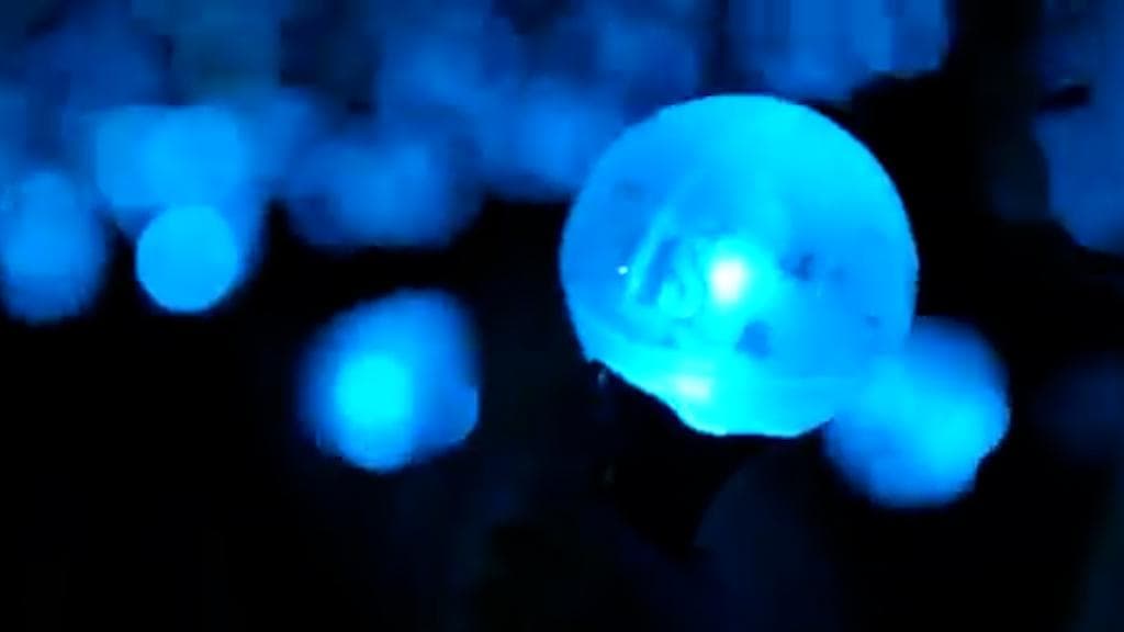 BTS' label red flags cryptocurrency 'ARMY COIN', says bitcoin issued without our permission