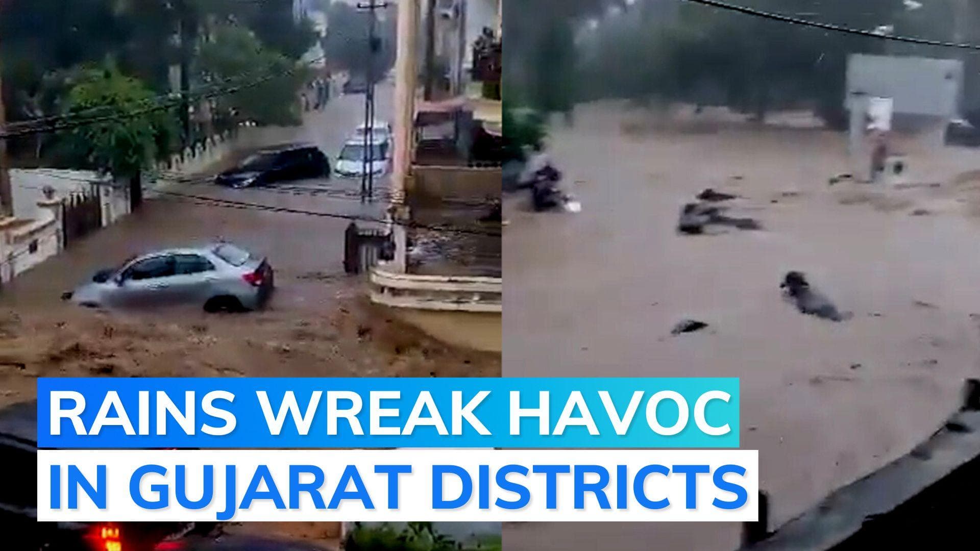 Watch: cars, cattle swept away as heavy rains batter south Gujarat and Saurashtra 
