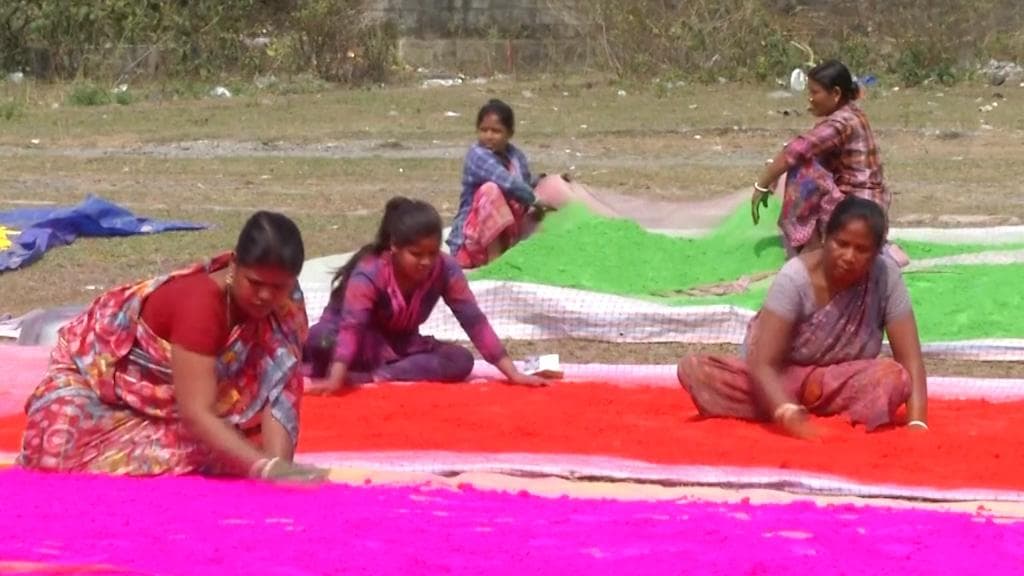 Holi colours tips: বাড়িতে সাধারণ কিছু উপাদান দিয়ে তৈরি করে নিন ভেষজ রং