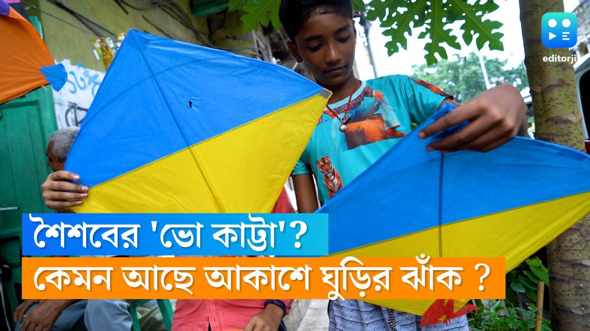 Viswakarma Puja:Editorji Exclusive: আকাশজোড়া ঘুড়ি কি শুধুই বিশ্বকর্মা পুজোর বিকেলের জন্যেই রাখা? 