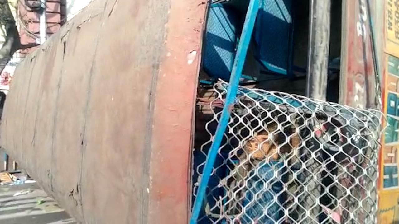 Bus driver arrest : মিনিবাস উল্টে যাওয়ার ঘটনায় হাওড়া থেকে গ্রেফতার চালক