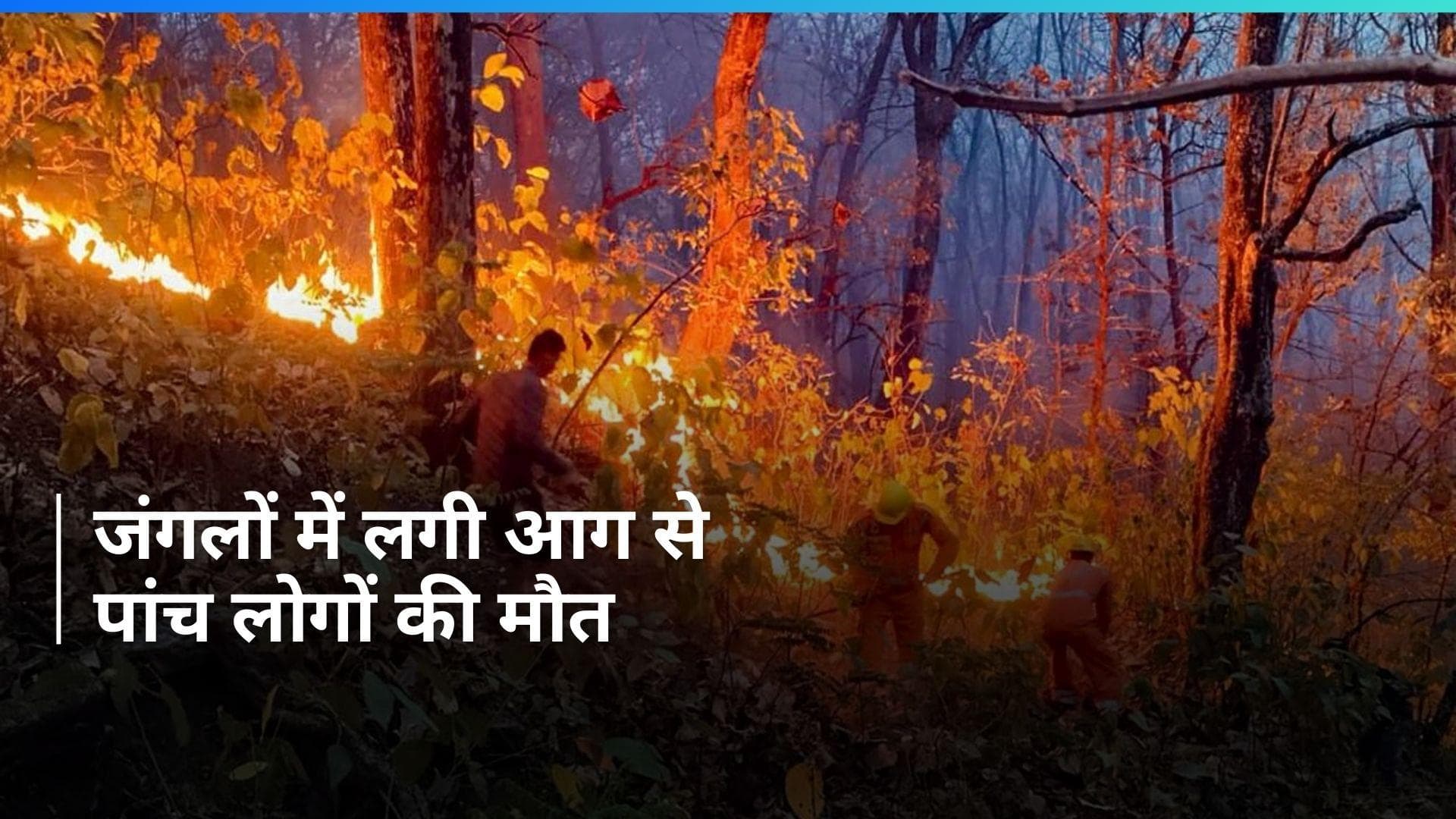 उत्तराखंड के जंगलों में लगी आग से 5 लोगों की मौत, तीन लोगों को किया गया गिरफ्तार