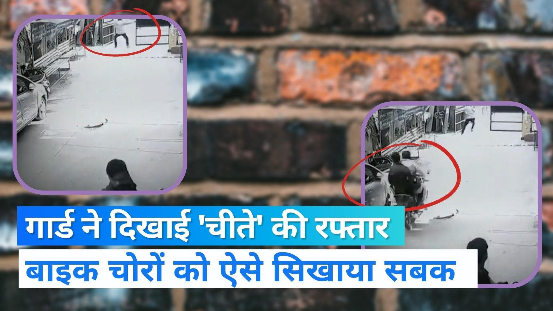 Viral Video: दिल्ली में बाइक चुराकर भाग रहे थे बदमाश, गार्ड ने 'चीते' की रफ्तार से गेट किया बंद