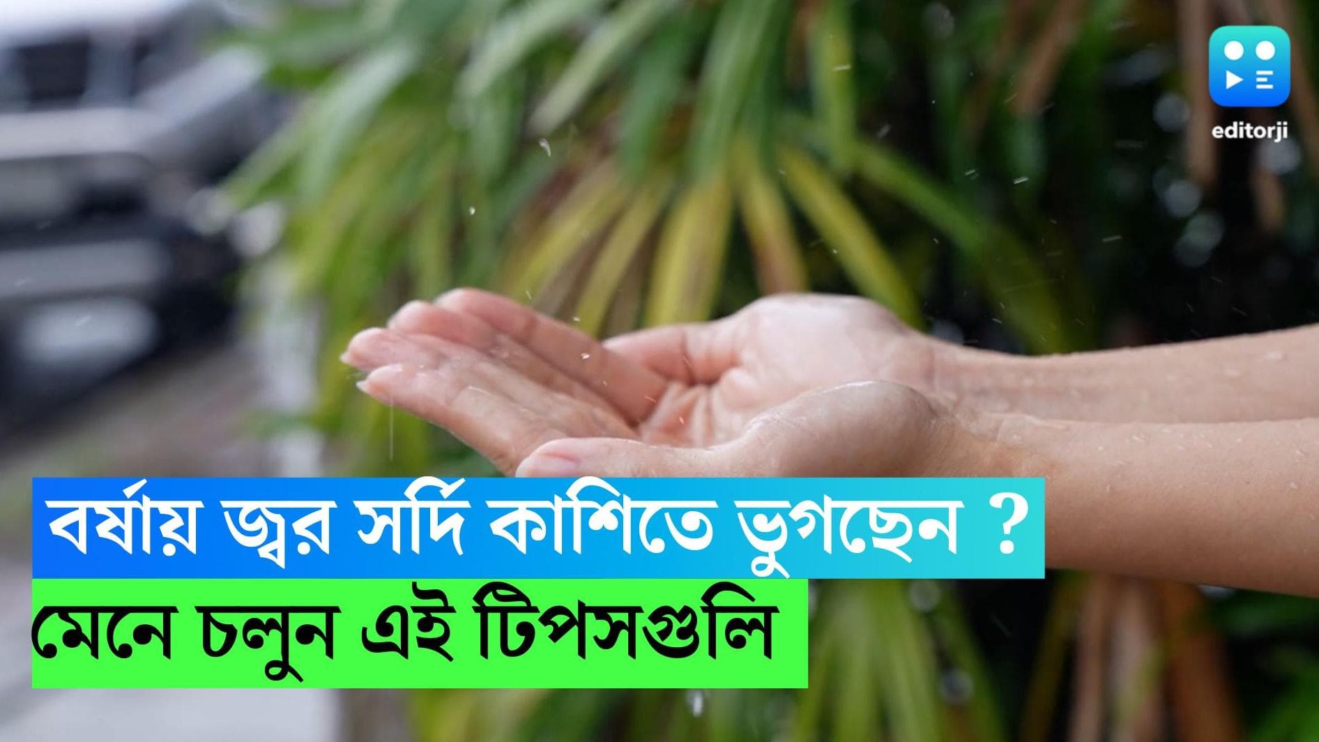 Monsoon Health Tips : বর্ষায় জ্বর সর্দি কাশিতে ভুগছেন ? সঙ্গে আবার পেটের সমস্যা ! মেনে চলুন এই টিপসগুলি