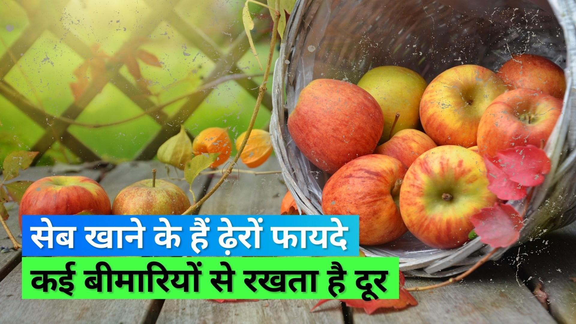Eating apples in winter: इन फायदों को जानकार सर्दियों में भी आप ज़रूर खाएंगे सेब
