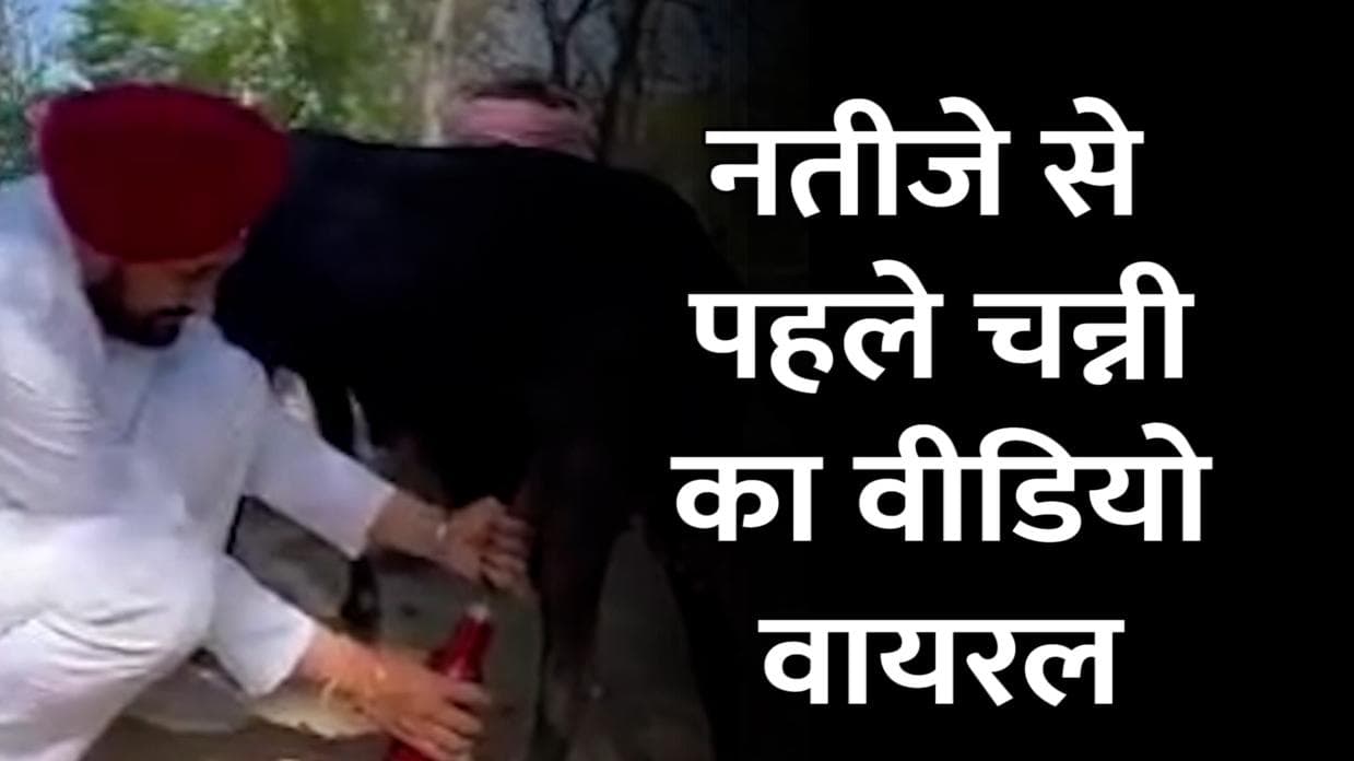 Punjab Elections 2022: नतीजों से पहले चन्नी का वीडियो वायरल, बकरी का दूध दुहते आए नजर