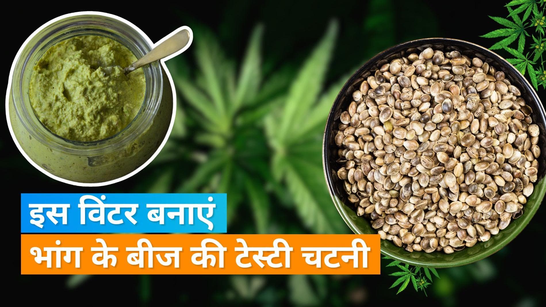 Hemp Seeds Chutney: इस विंटर सीजन घर पर बनाएं उत्तराखंड स्पेशल भांग की चटनी, जानें आसान रेसिपी