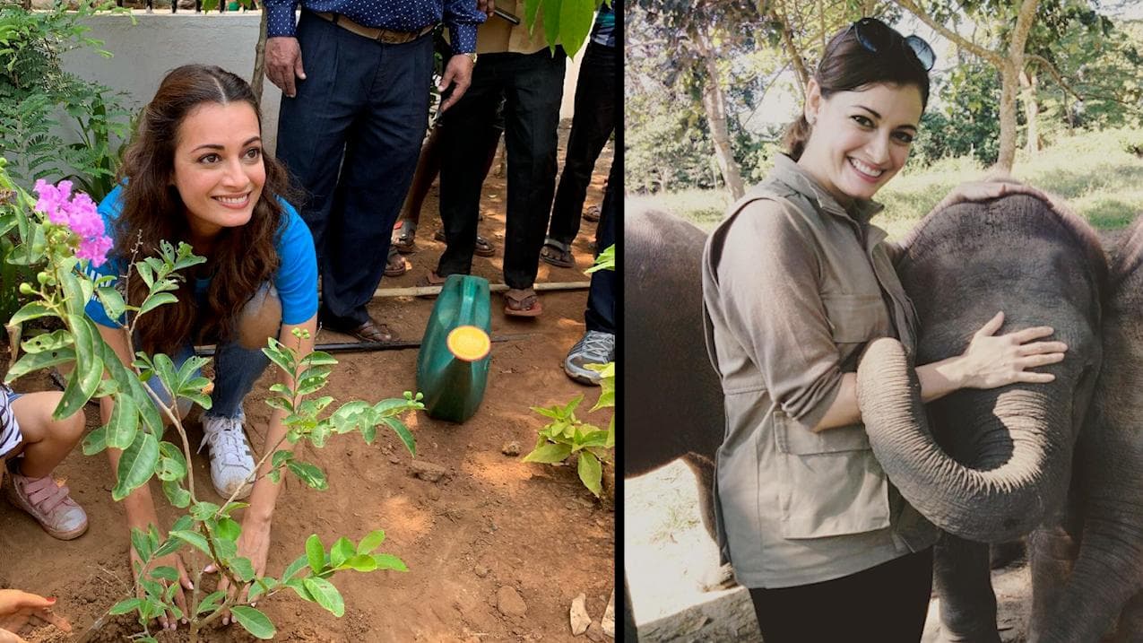 Happy Birthday Dia Mirza: Lesser-known facts about her you probably didn't know