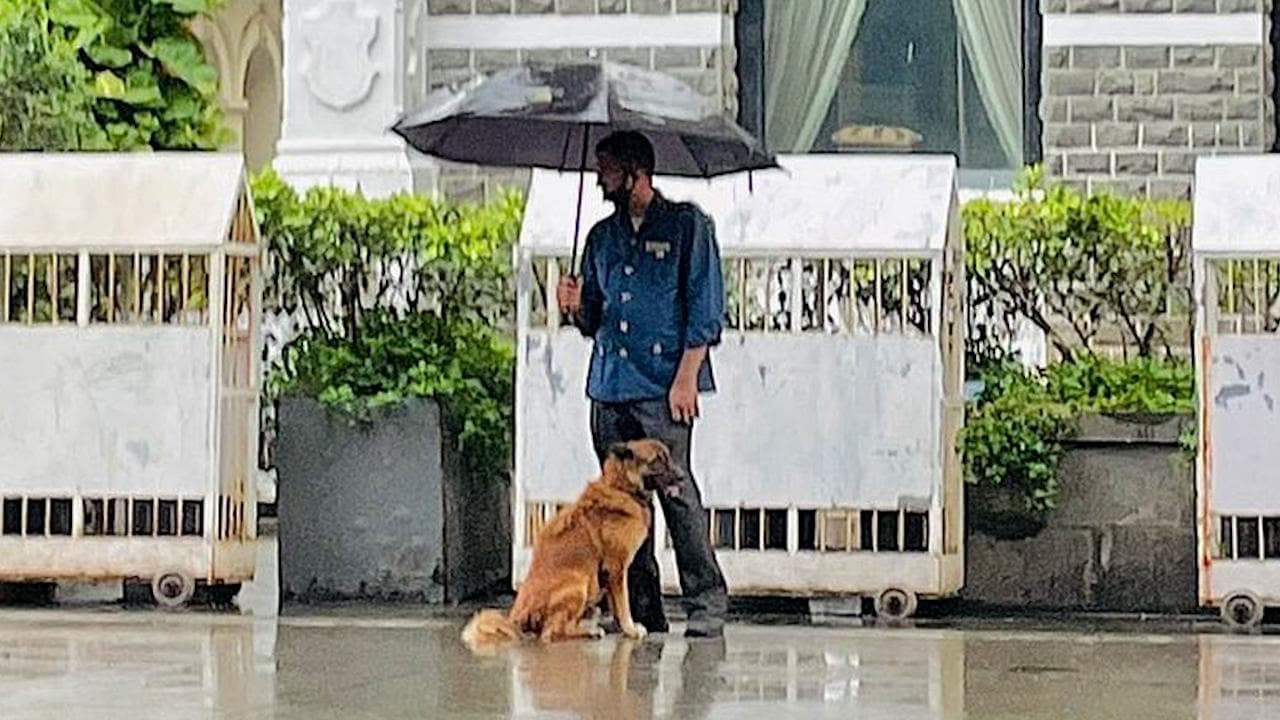 Taj employee shares umbrella with a stray dog, Ratan Tata welcomes gesture