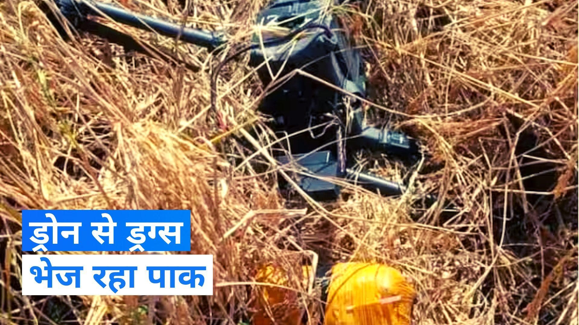 Punjab News: पाकिस्तान से ड्रोन से पंजाब में आ रही थी ड्रग्स, 12 KG हेरोइन के साथ पुलिस ने पकड़ा