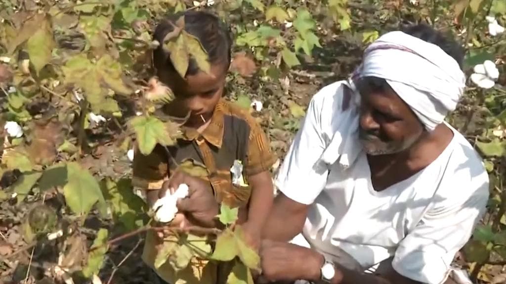 Cotton prices double from last year, hit record high