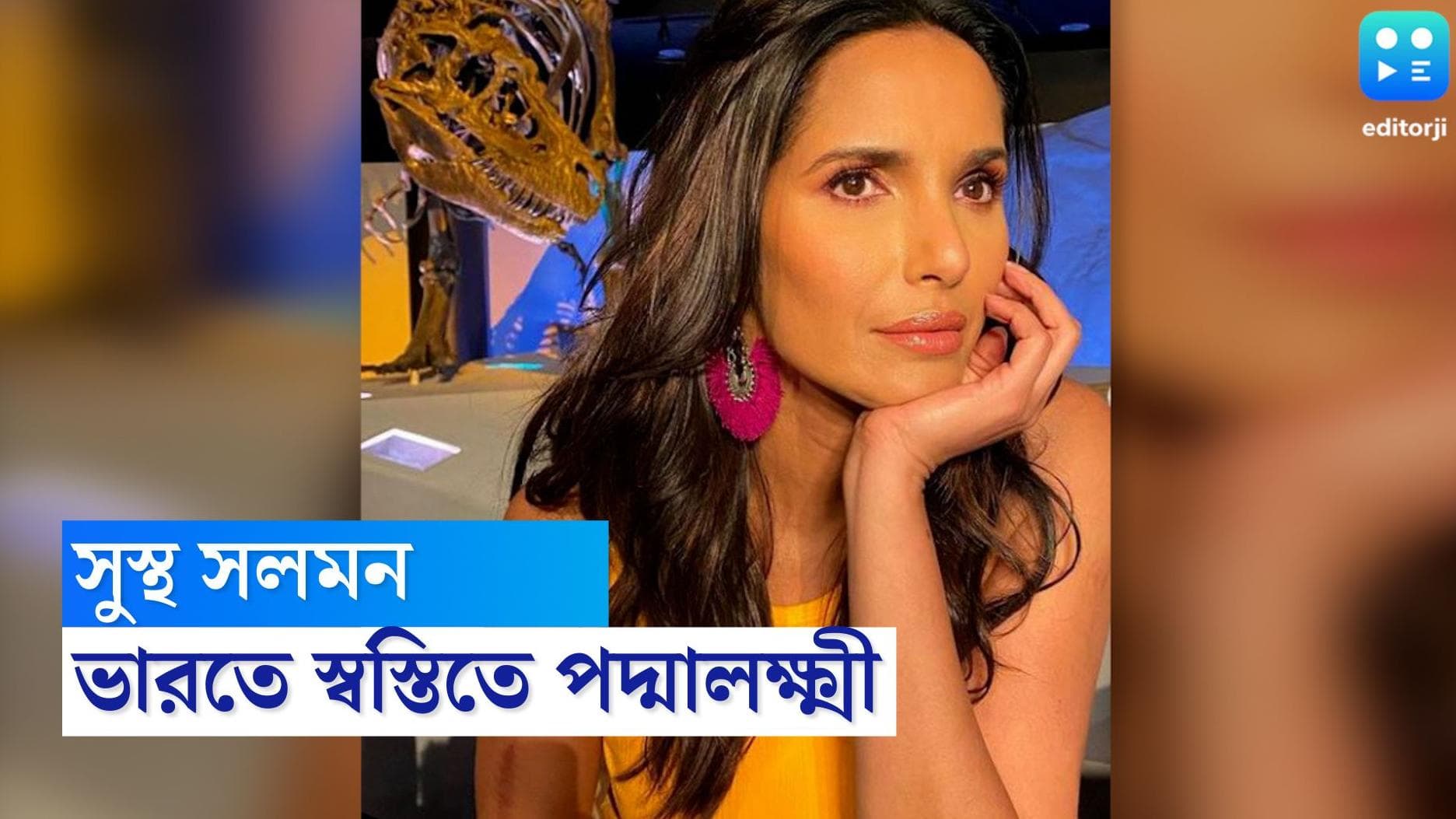 Salman Rushdie: সলমন রুশদির হামলার পর ভাষা হারিয়েছিলেন, জানালেন প্রাক্তন স্ত্রী পদ্মালক্ষ্মী 