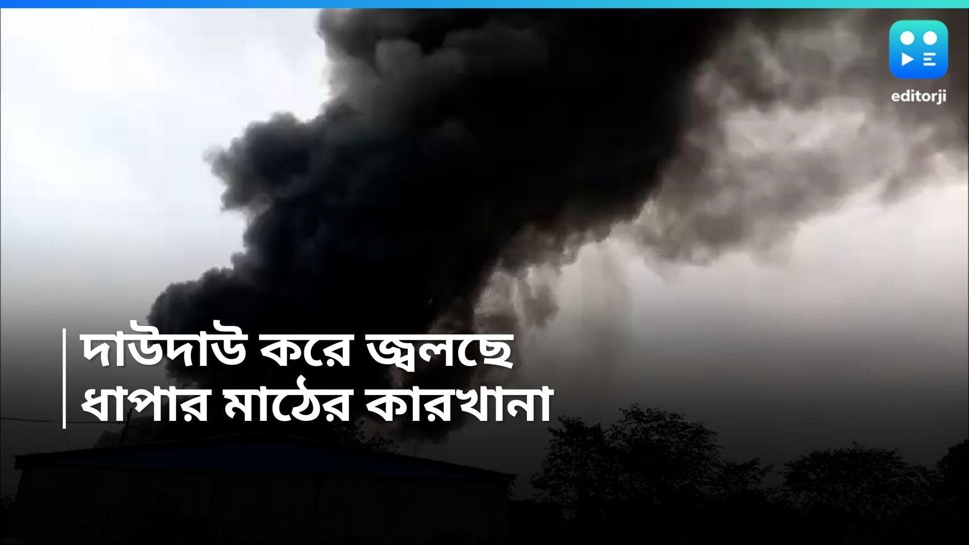 Kolkata Fire : ধাপার মাঠে রাসায়নিক কারখানায় বিধ্বংসী আগুন, ঘটনাস্থলে দমকলের ৬টি ইঞ্জিন