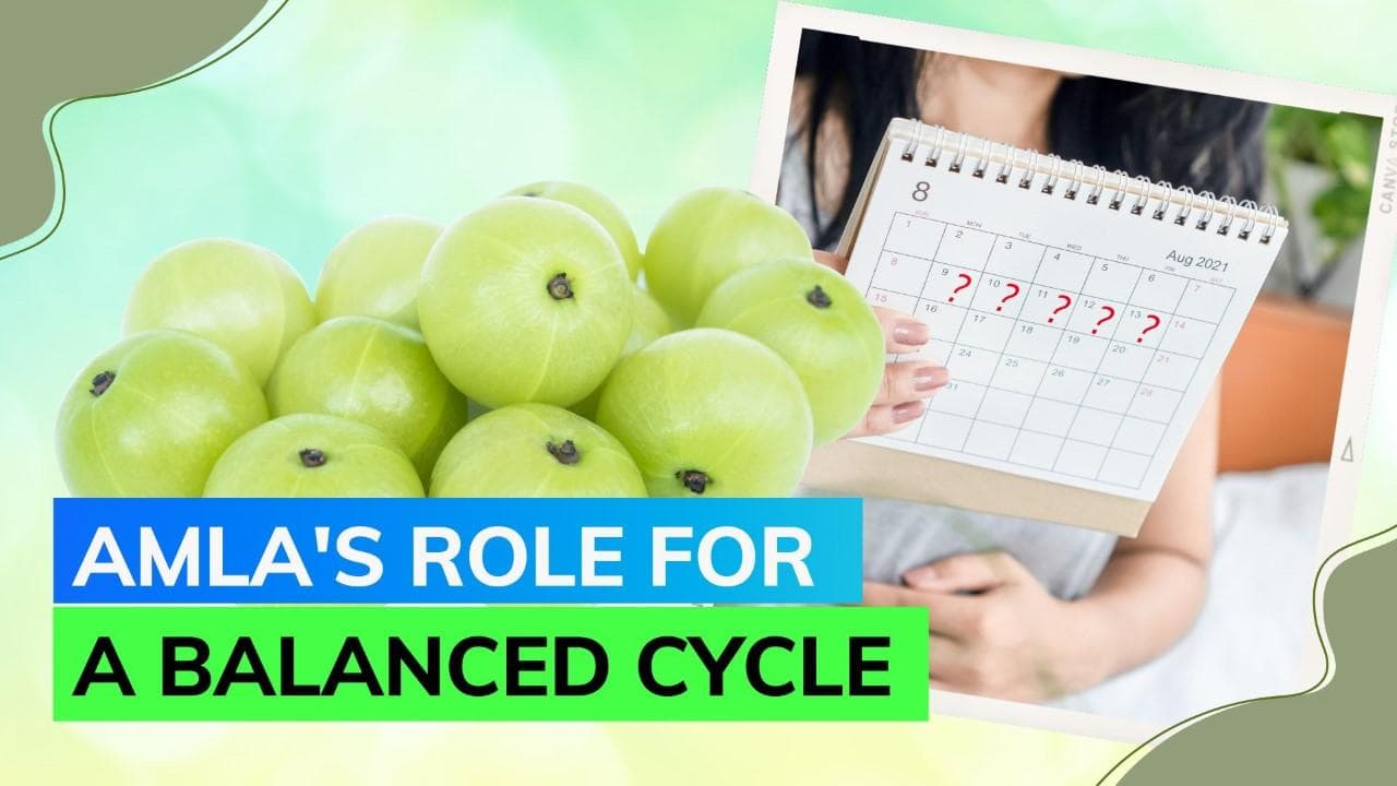 Can amla help regularise menstrual cycle? Expert shares insight