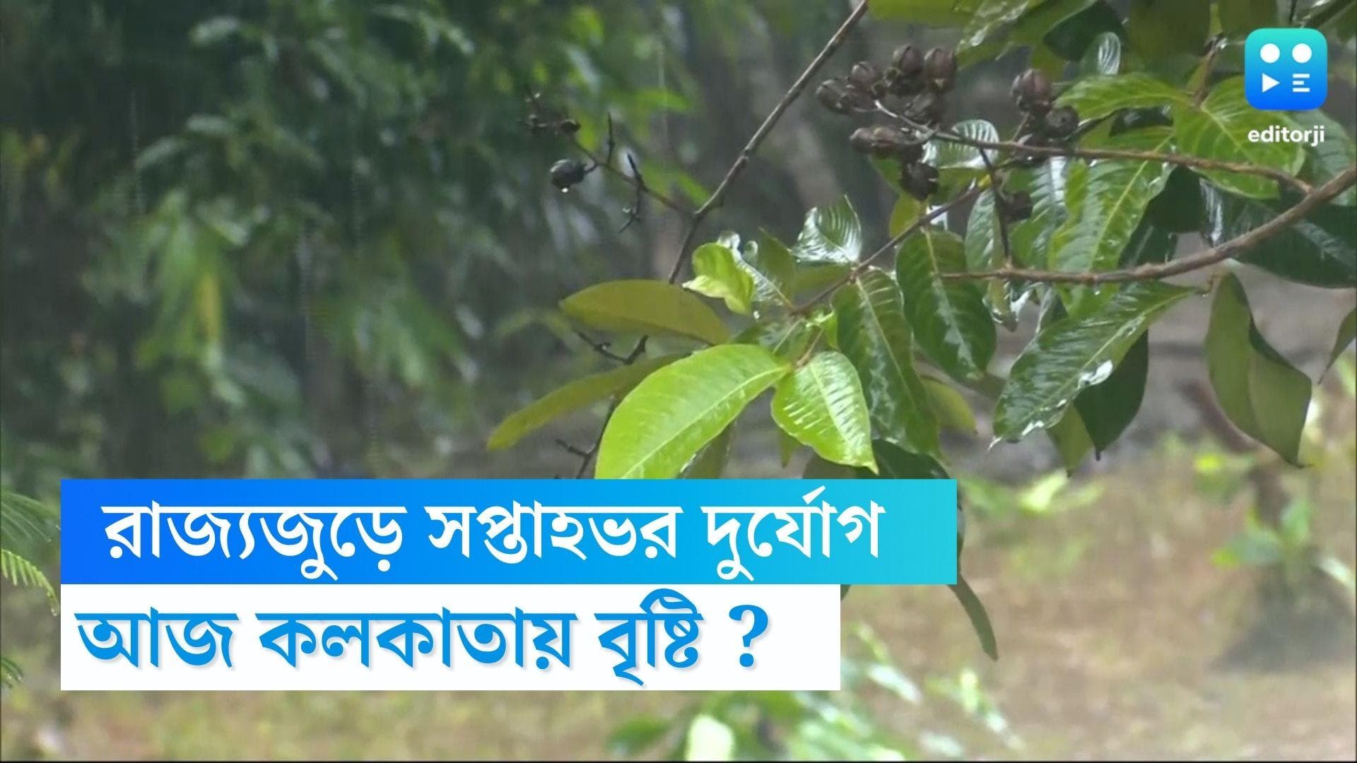 West Bengal Weather Update : সপ্তাহভর দুর্যোগ, দুই বঙ্গেই ঝড়-বৃষ্টির পূর্বাভাস, আজ কেমন থাকবে আবহাওয়া ?