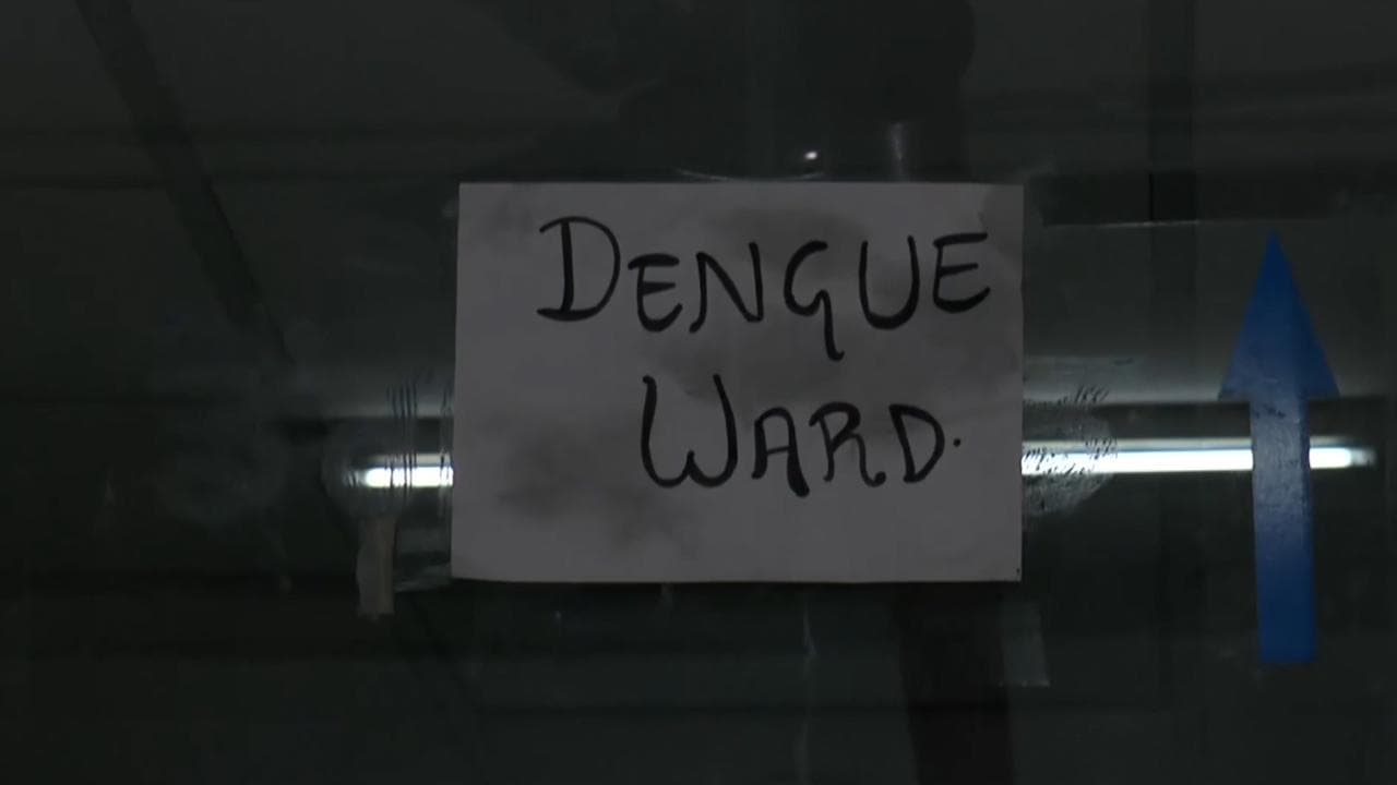 Dengue outbreak: Centre rushes teams to nine affected states, UTs