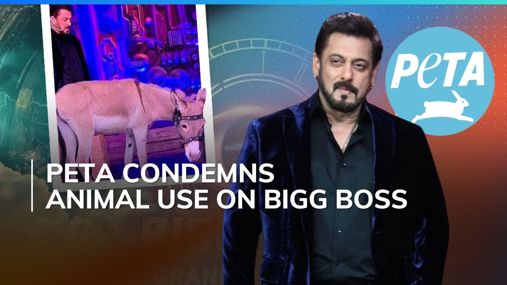 Bigg Boss 18 Sparks Controversy: Donkey's Presence Raises Ethical Concerns, read to know more