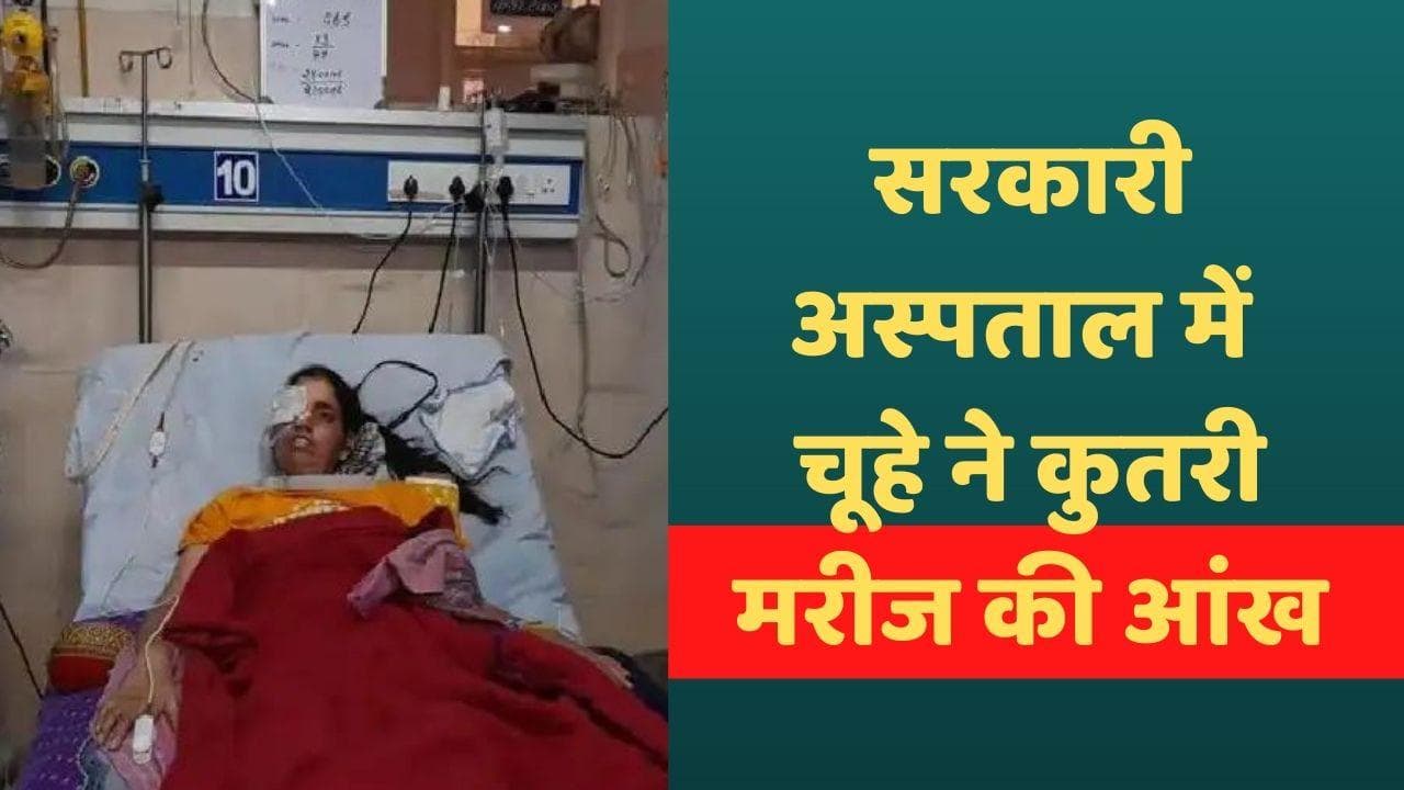 Kota News: चूहे ने सरकारी अस्पताल में इलाज करवा रही महिला मरीज की आंख कुतरी