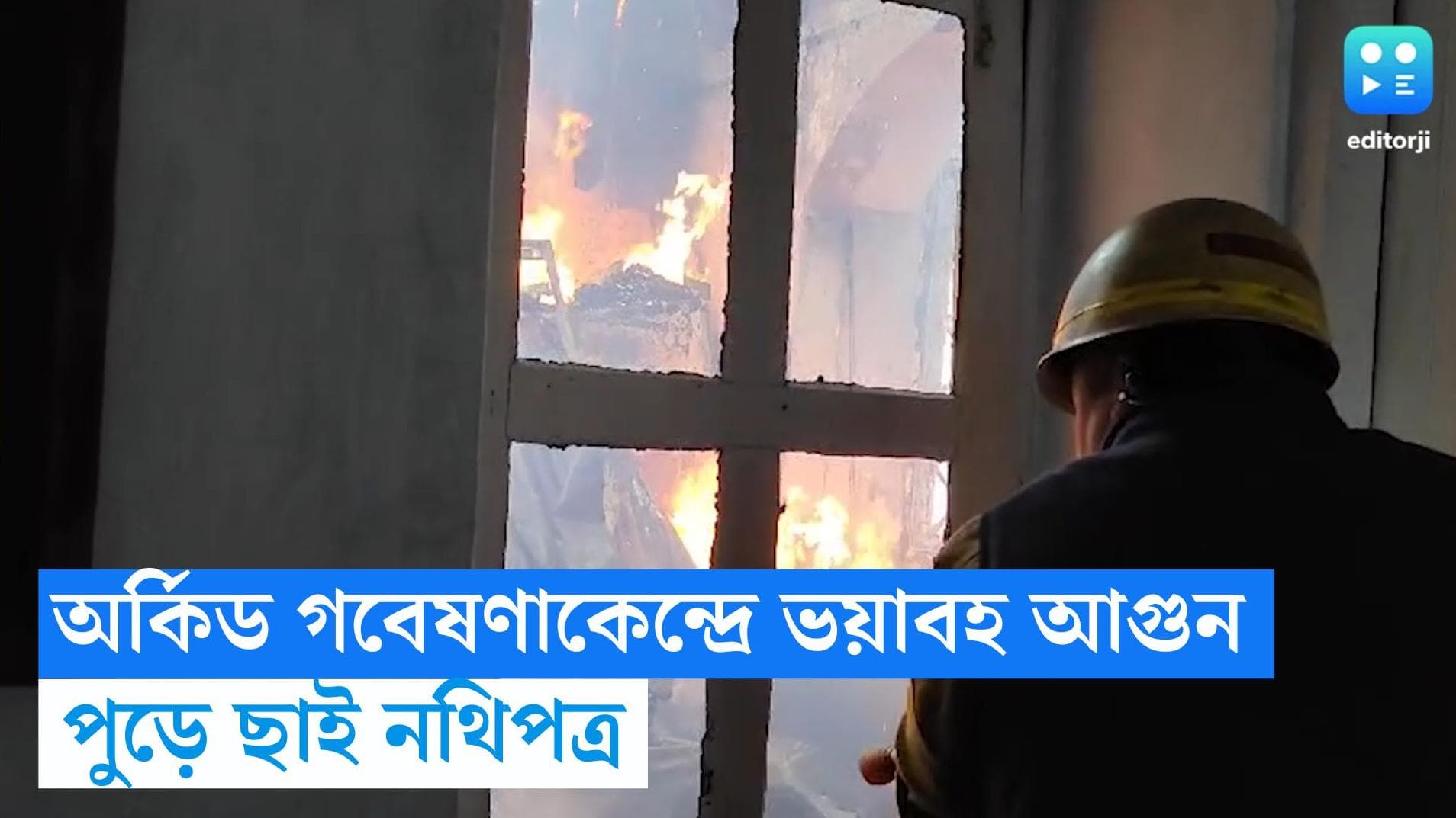 Darjeeling Fire: দার্জিলিংয়ে অর্কিড গবেষণাকেন্দ্রে ভয়াবহ আগুন, পুড়ে ছাই একাধিক নথি