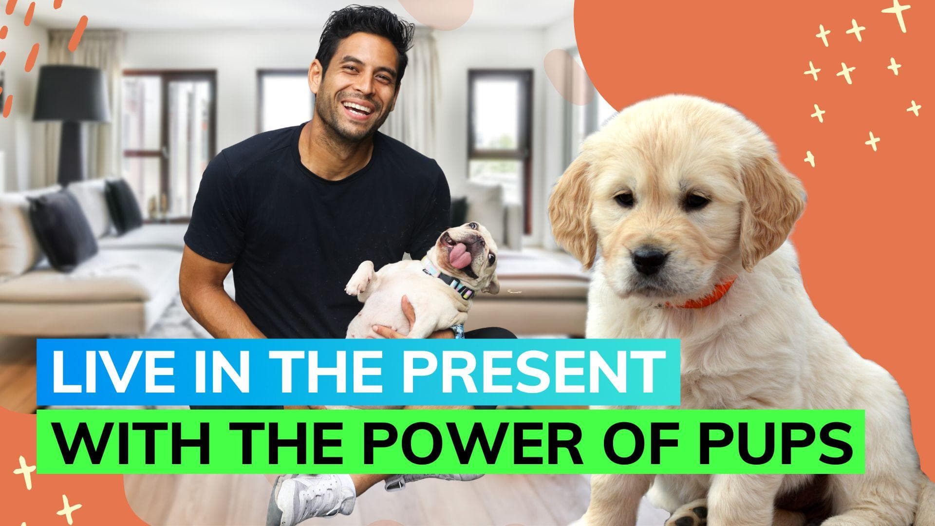  Brief interactions with dogs boost health and well-being: expert