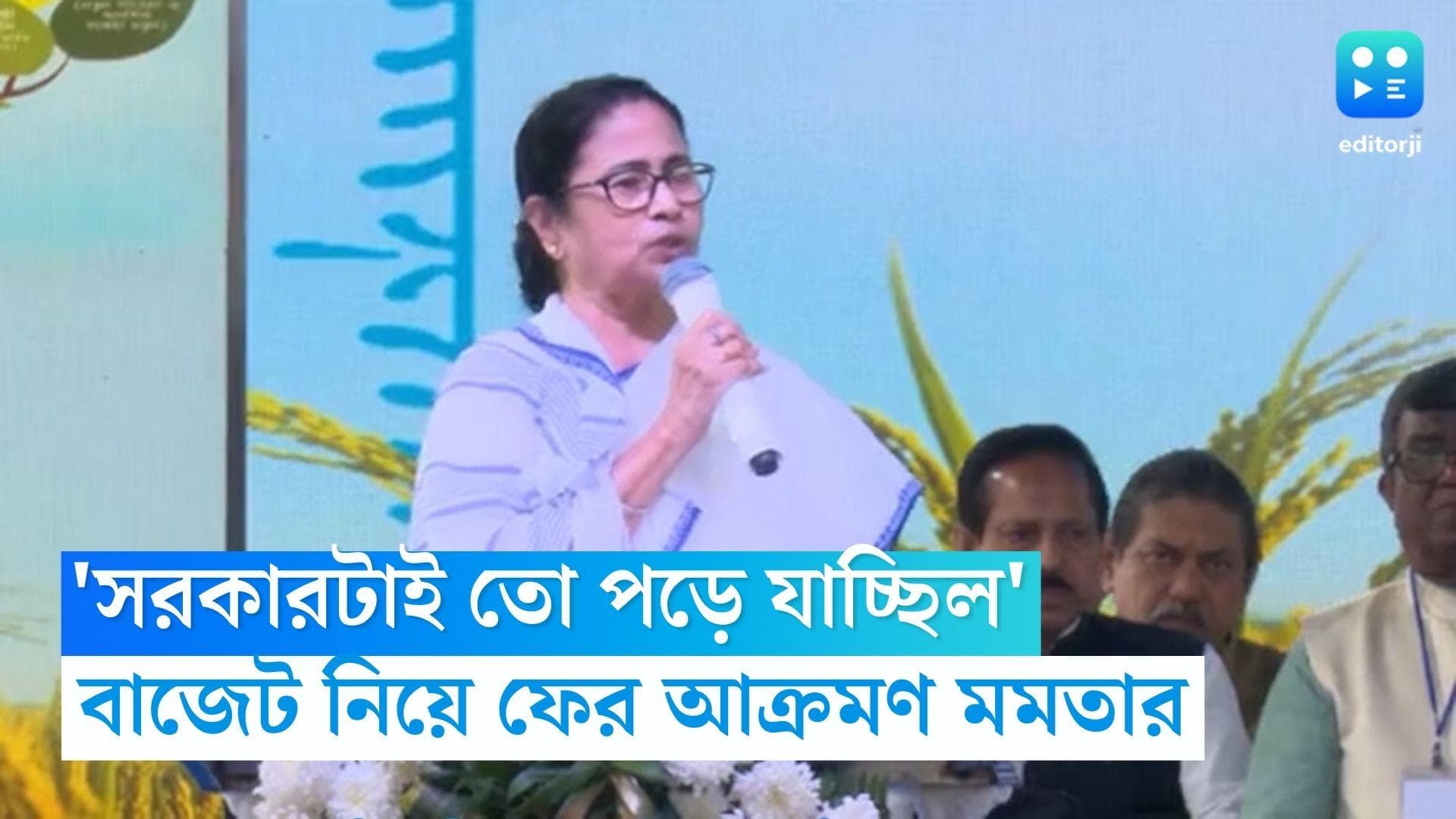 Mamata Banerjee: 'সরকারটাই পড়ে যাচ্ছিল', শেয়ার বাজারে ধস নিয়ে বিস্ফোরক দাবি মমতা বন্দ্যোপাধ্যায়ের