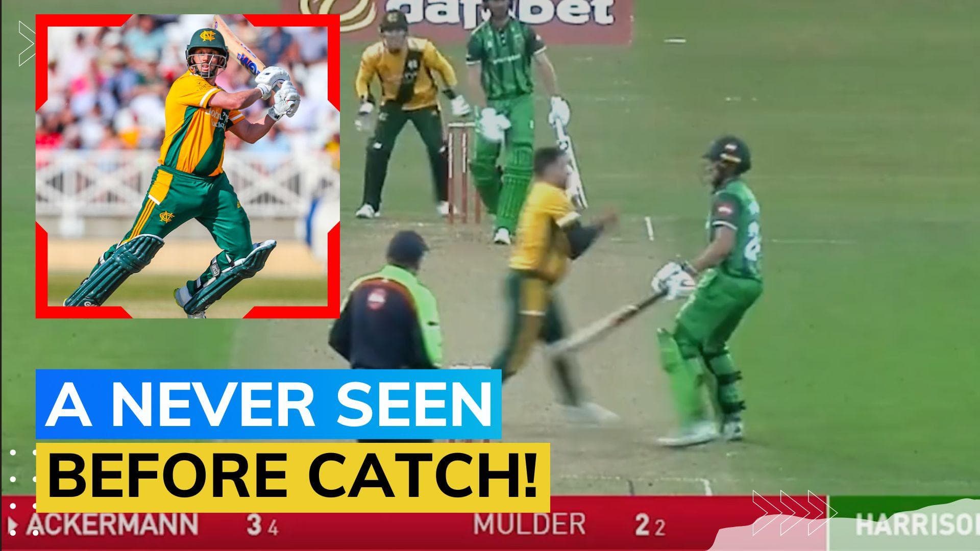 Watch! Bowler uses non-striker to take a hilarious catch in T20 Blast