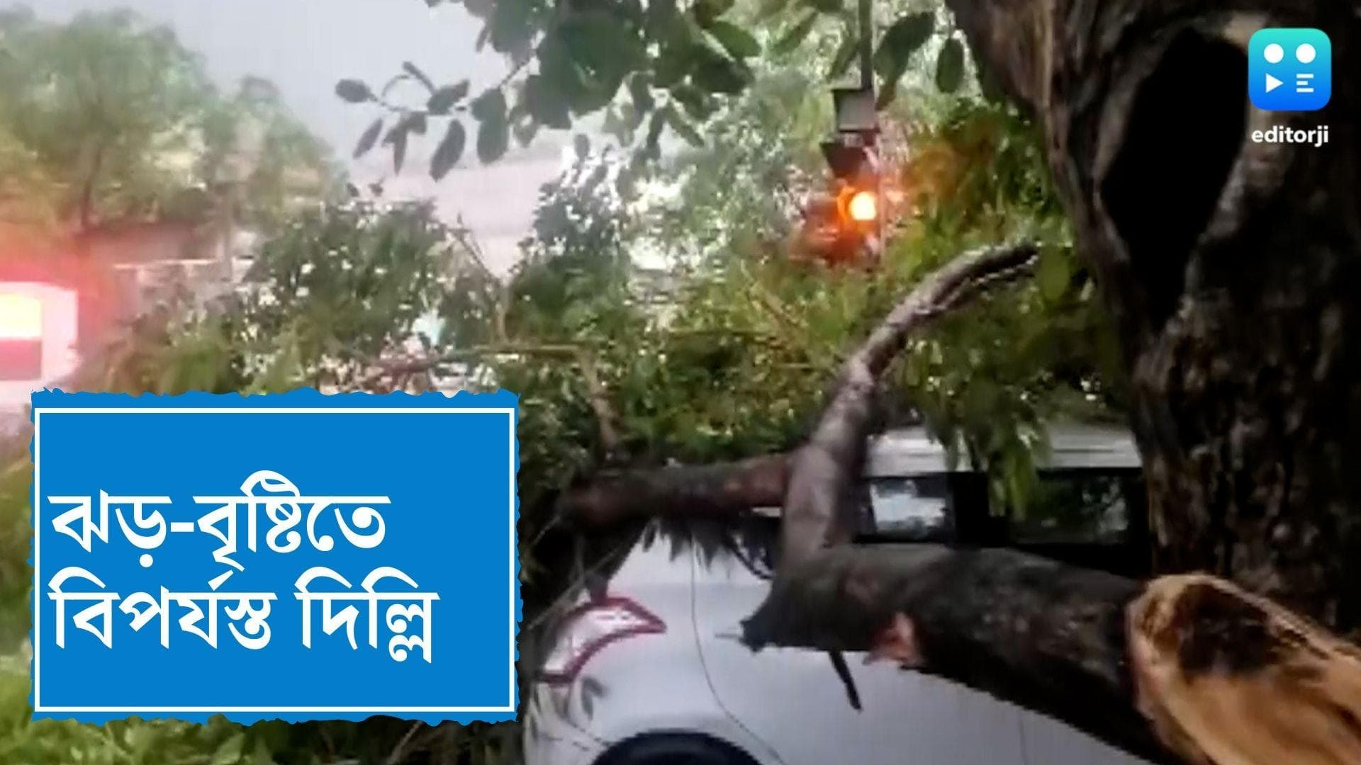 Delhi Rainstorm : দু ঘণ্টা ধরে ঝড়ে তাণ্ডবে বিপর্যস্ত দিল্লি, ক্ষতিগ্রস্ত একাধিক বাড়ি, মৃত ২  