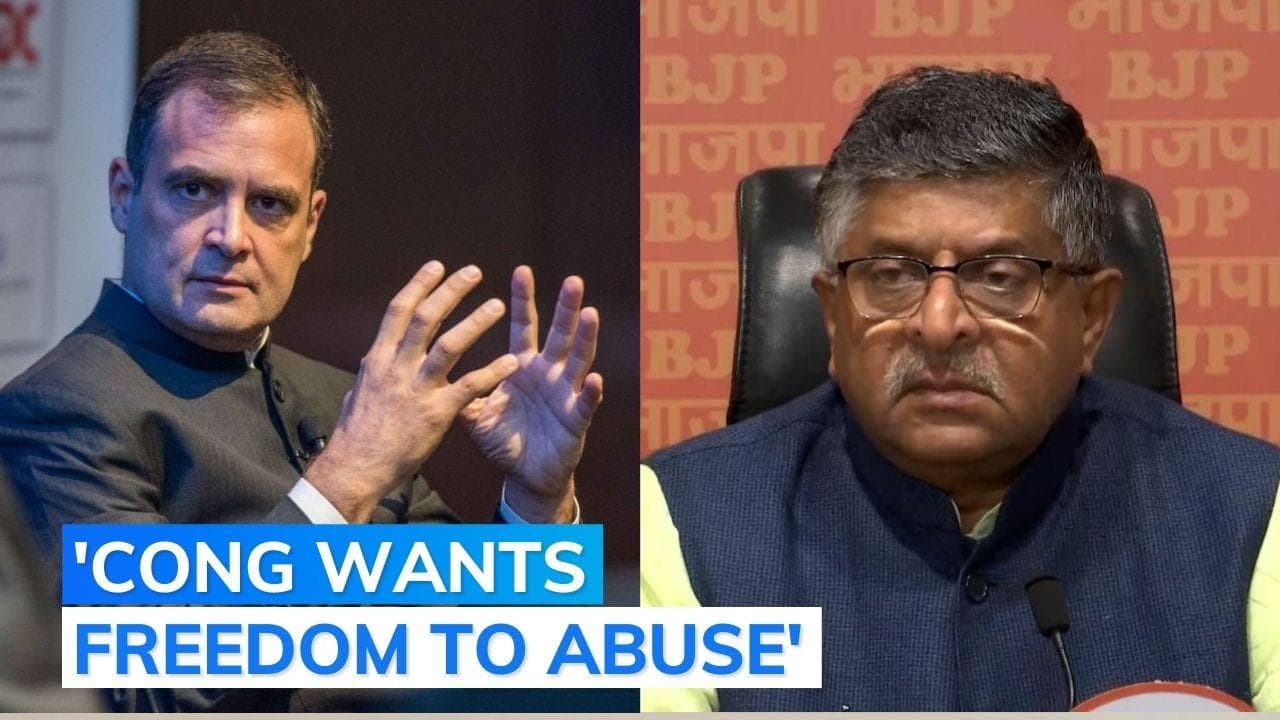 No doubt Rahul Gandhi's 'surname' remarks defamatory: BJP on defamation verdict