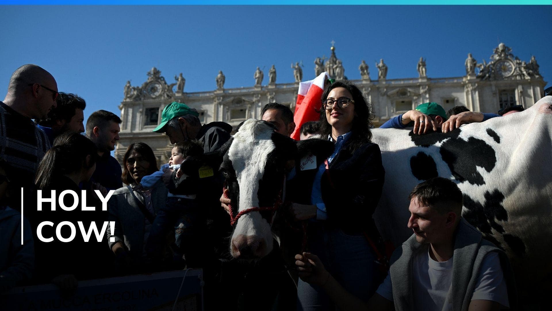 Watch: cow attends Pope's prayer as part of European farmers' protest