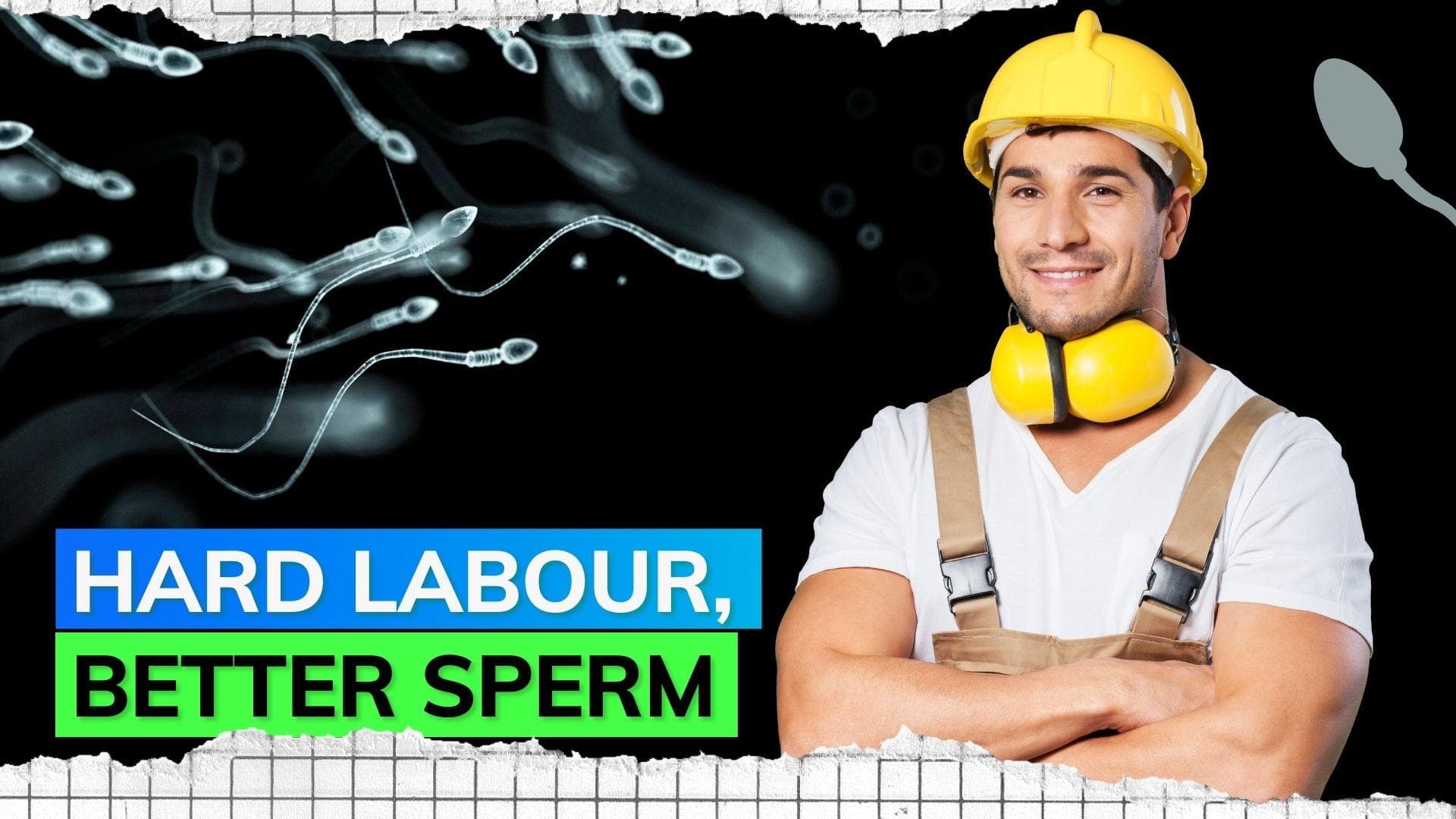 Men with physically challenging jobs have better sperm count; know what study says