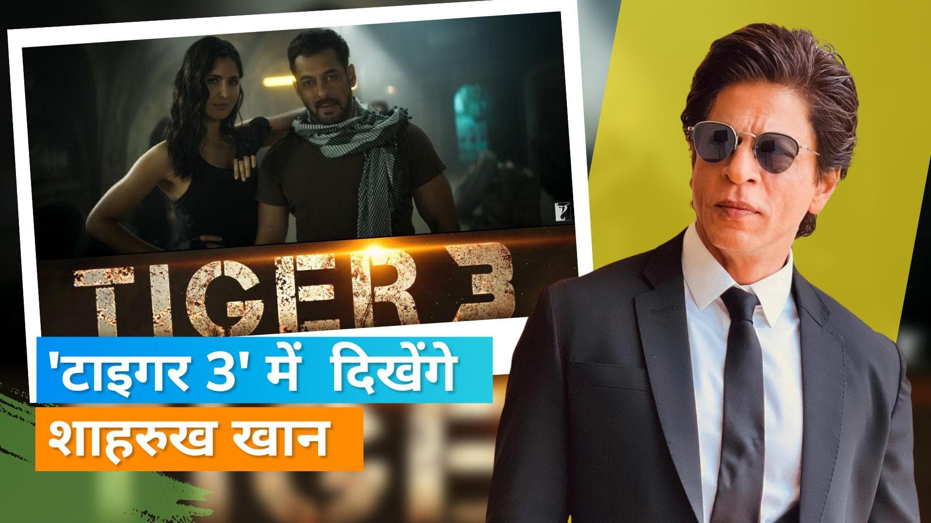 Shah Rukh Khan, Salman Khan की 'Tiger 3' में कैमियो रोल की शूटिंग इसी महीने करेंगे शुरू: रिपोर्ट 