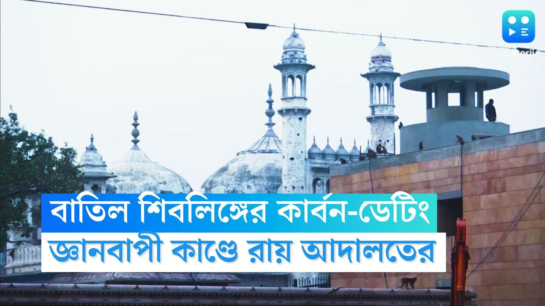 Gyanvapi Verdict Update: শিবলিঙ্গের বয়স জানার আর্জি খারিজ আদালতে, কার্বন ডেটিংয়ের কার্যকারিতা নিয়ে প্রশ্ন