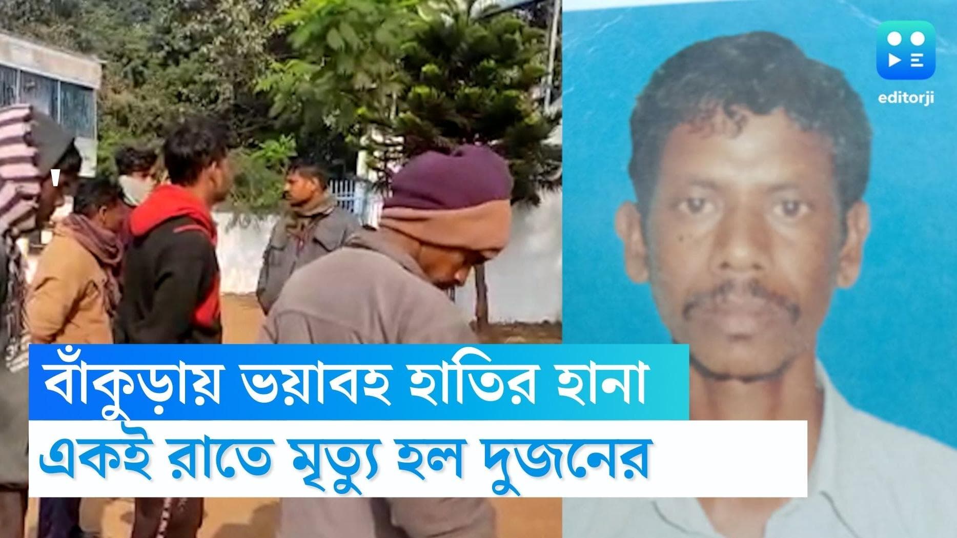 Elephant attacks in Bankura: একই রাতে হাতির হানায় বাঁকুড়ার দুই অঞ্চলে প্রাণ হারালেন দুজন