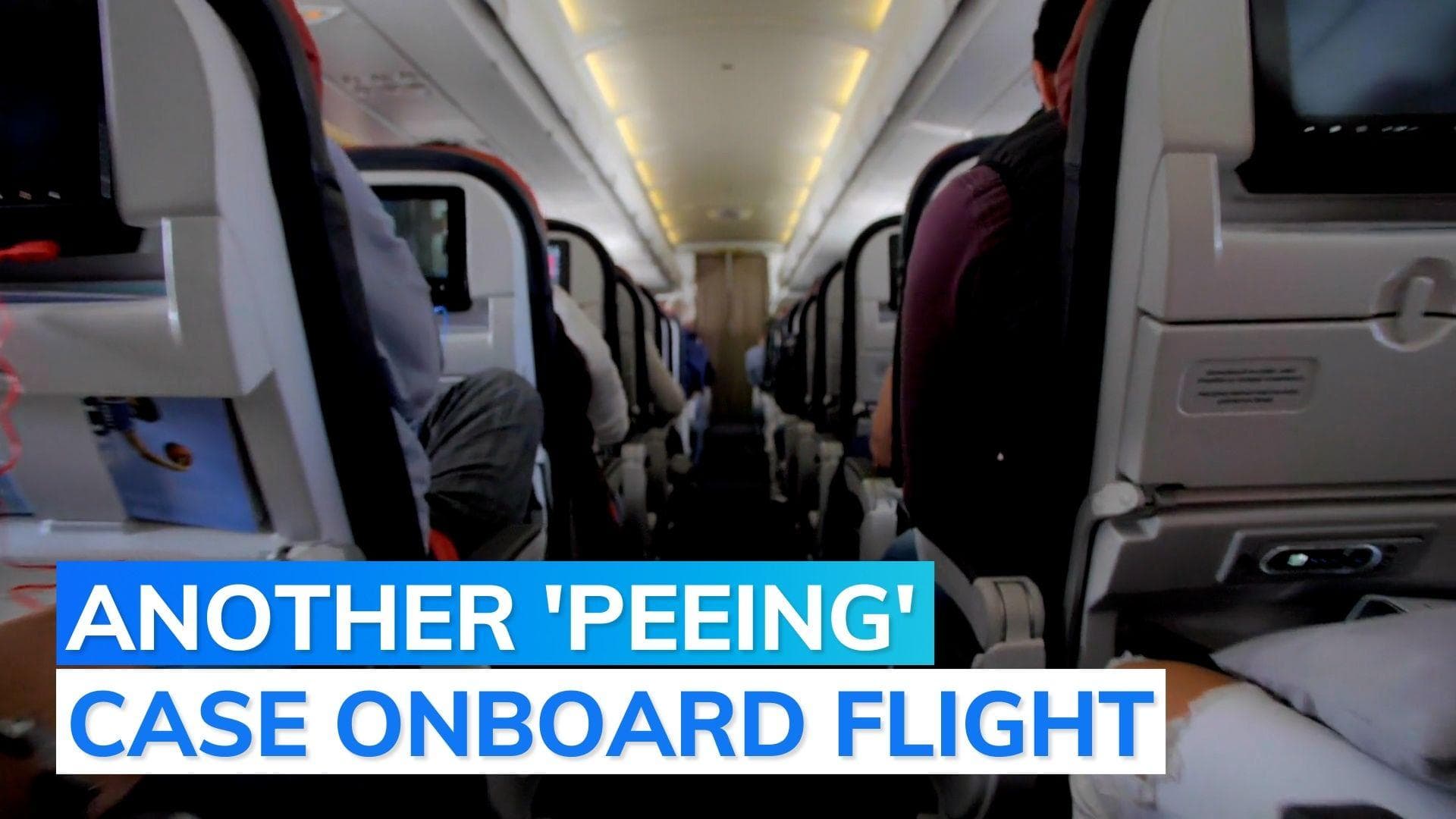 Another 'peeing' incident on Delhi bound flight, Indian student held