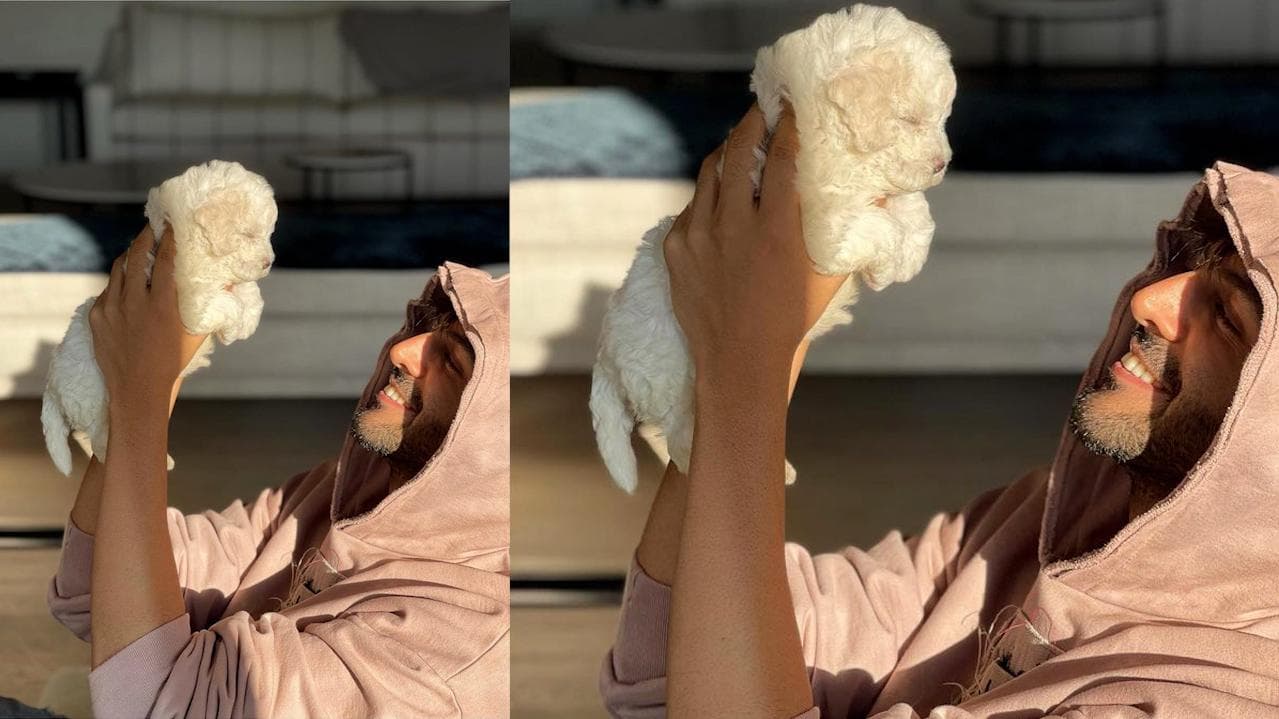 Kartik Aaryan को हुआ फिर से प्यार, शेयर की स्पेशल शख्स की फोटो!