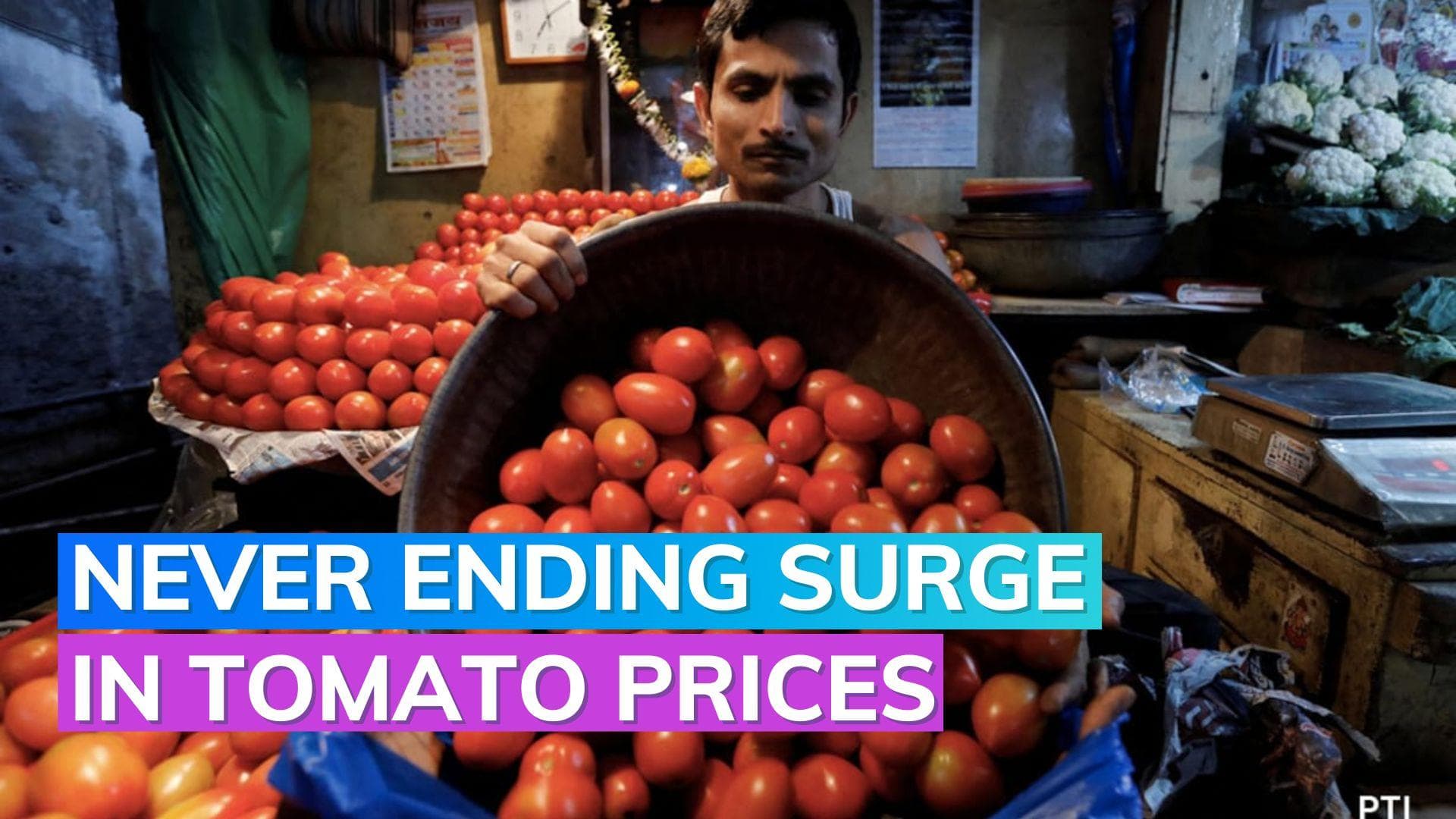 Tomato prices could reach Rs 300 per KG soon; Mother Diary sells at Rs 259/ KG