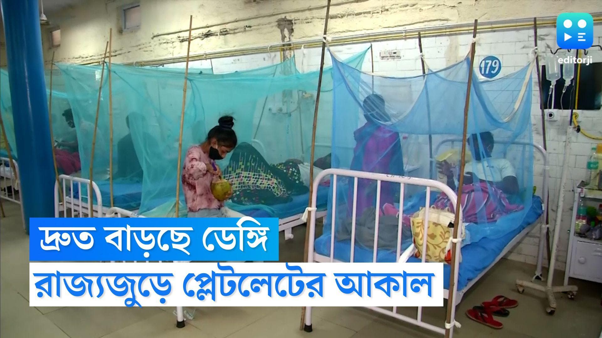 Dengue Situation Bengal: হু হু করে বাড়ছে ডেঙ্গি সংক্রমণ, চিন্তা বাড়াচ্ছে প্লেটলেটের আকাল