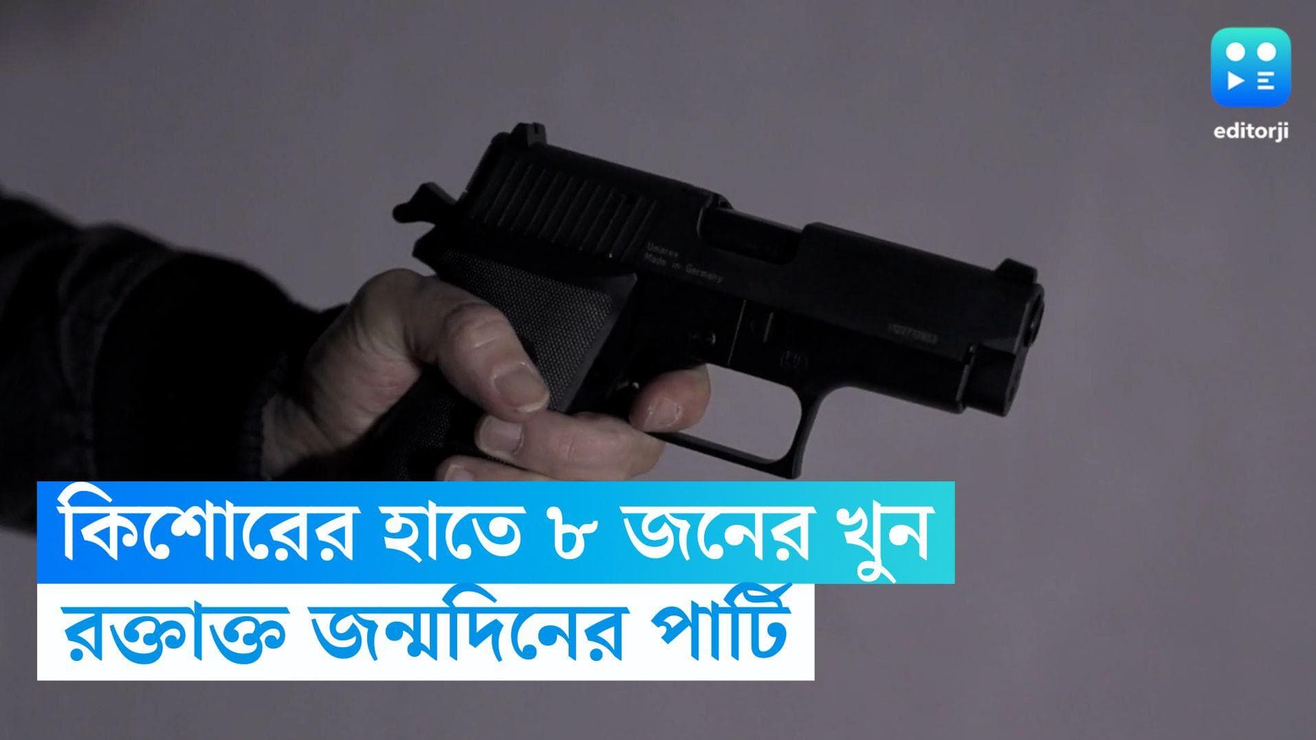 Teenager killed 8 people: জন্মদিনের পার্টি করতে গিয়ে ১৪ বছরের কিশোরের হাতে খুন ৮ জন!